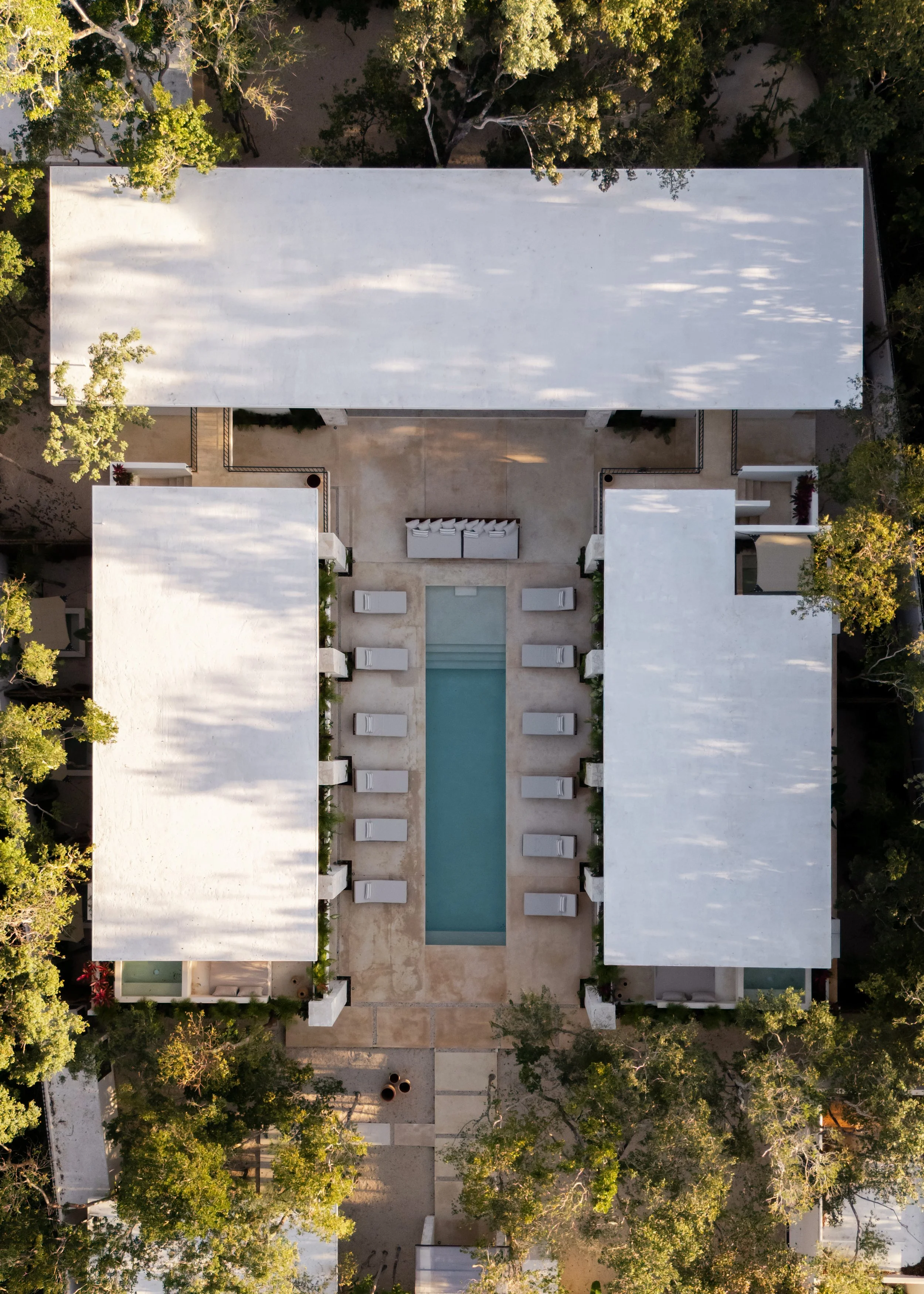 Birds Eye View