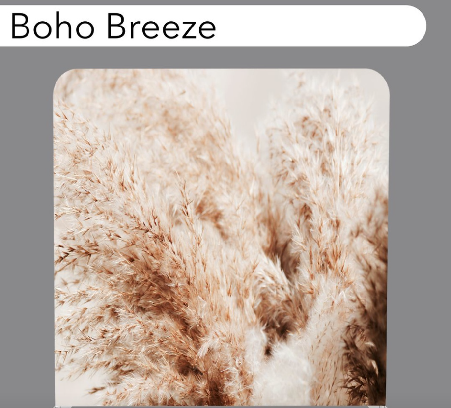 BOHO BREEZE.png