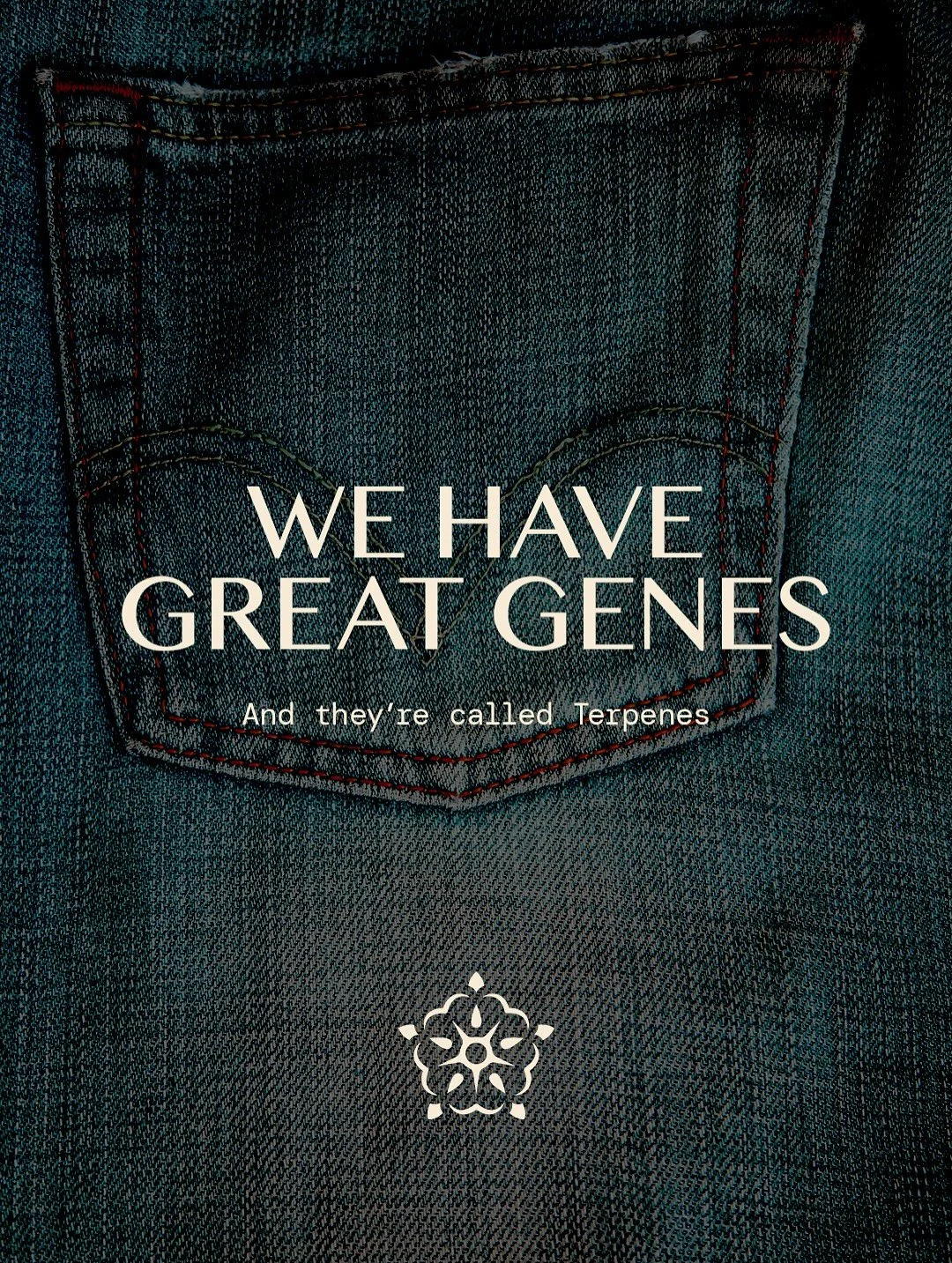 We&rsquo;ve got great genes. And they&rsquo;re called terpenes. 

From Limonene to Myrcene, terpenes are what shape the aroma, flavour and vibe of every strain. 
Think of them like a plant&rsquo;s DNA 🍃🧬

👉🏻 Save this post for your next pickup. 
