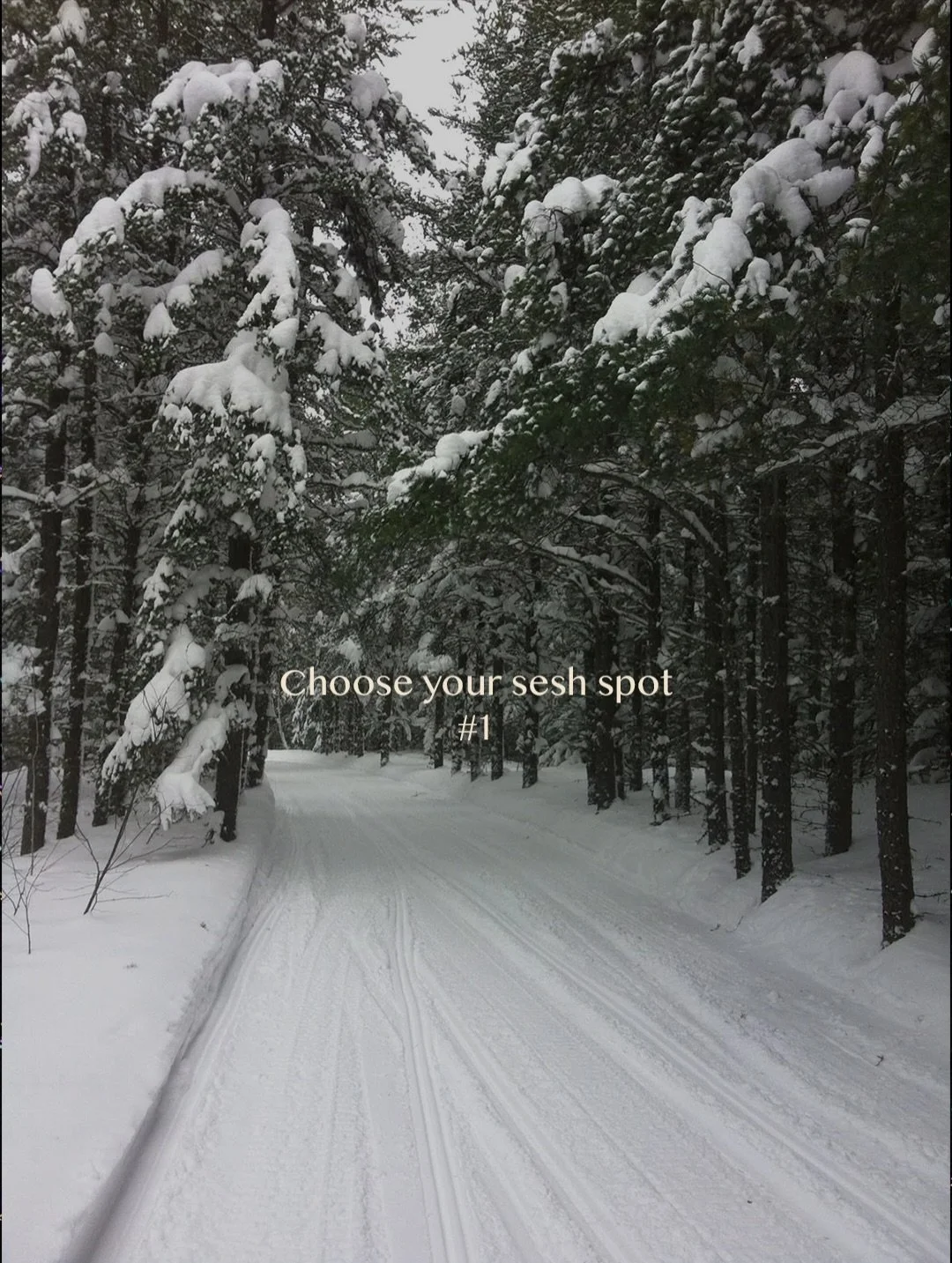 Choose your sesh spot 🌬

Have you hit any of these in Cobourg?