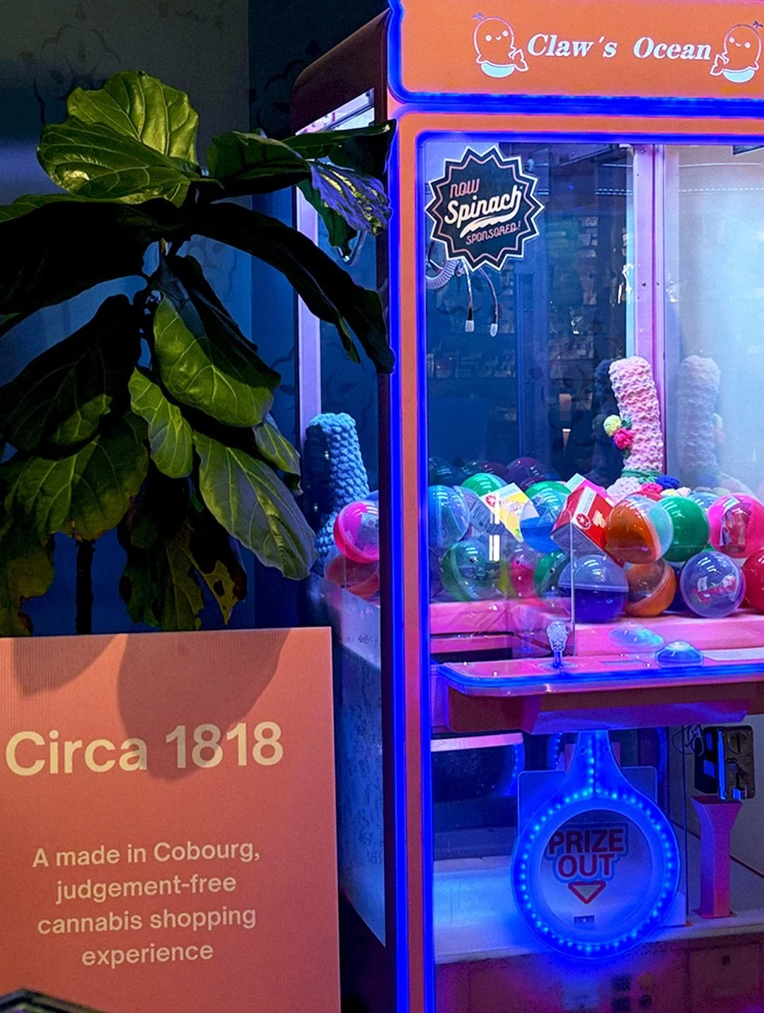 Pop in the store and get your claws on some Spinach, the official sponsor of our claw machine 🥦