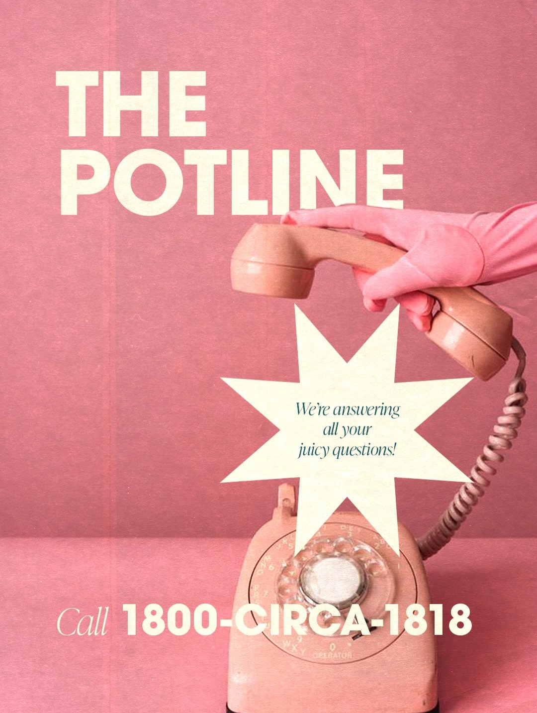 Questions about flower? We get them every day. 

So we opened The Potline. 
Drop yours below or DM us anytime. 📞