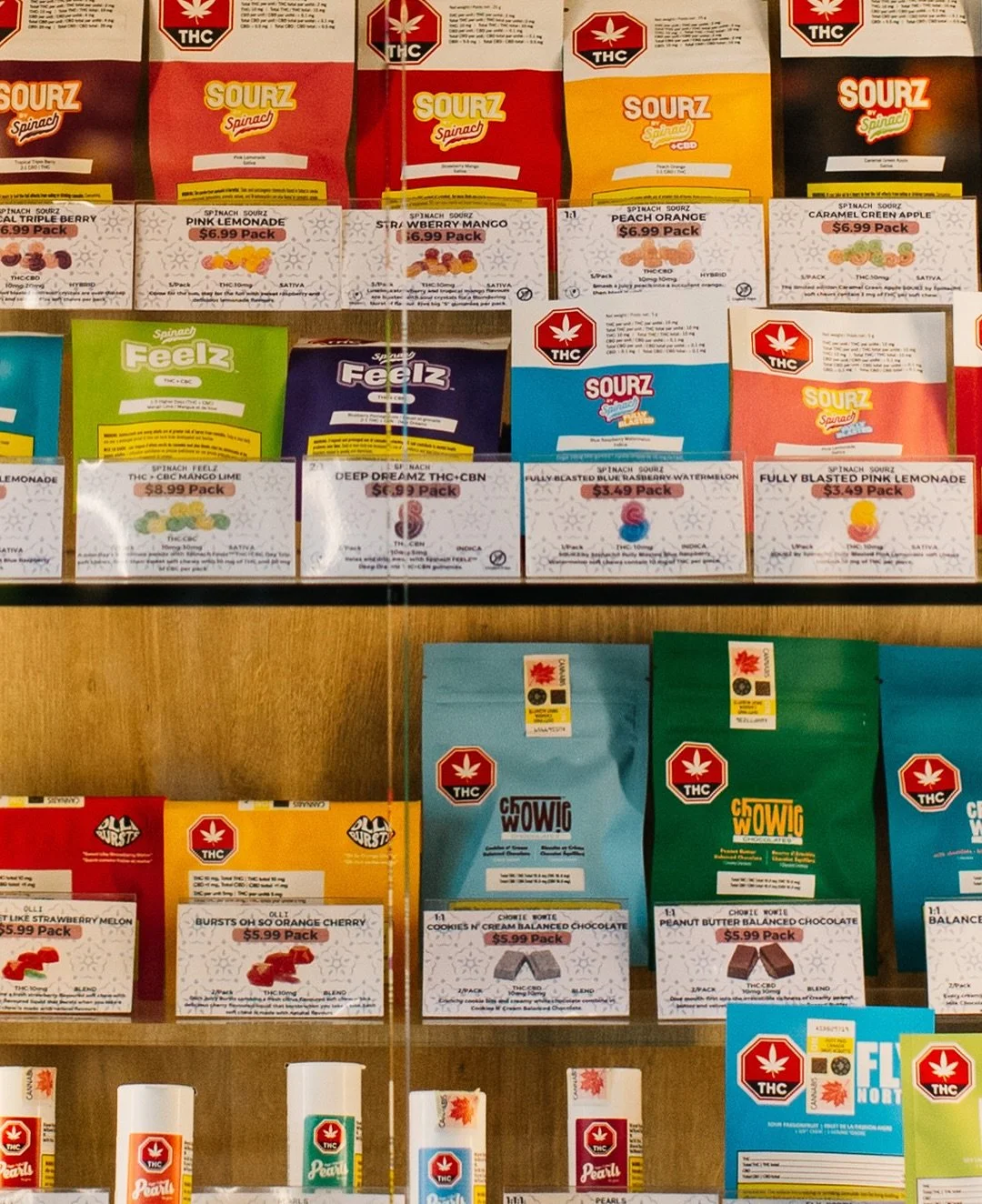 Our camera roll from February 📸🌲🌇❄