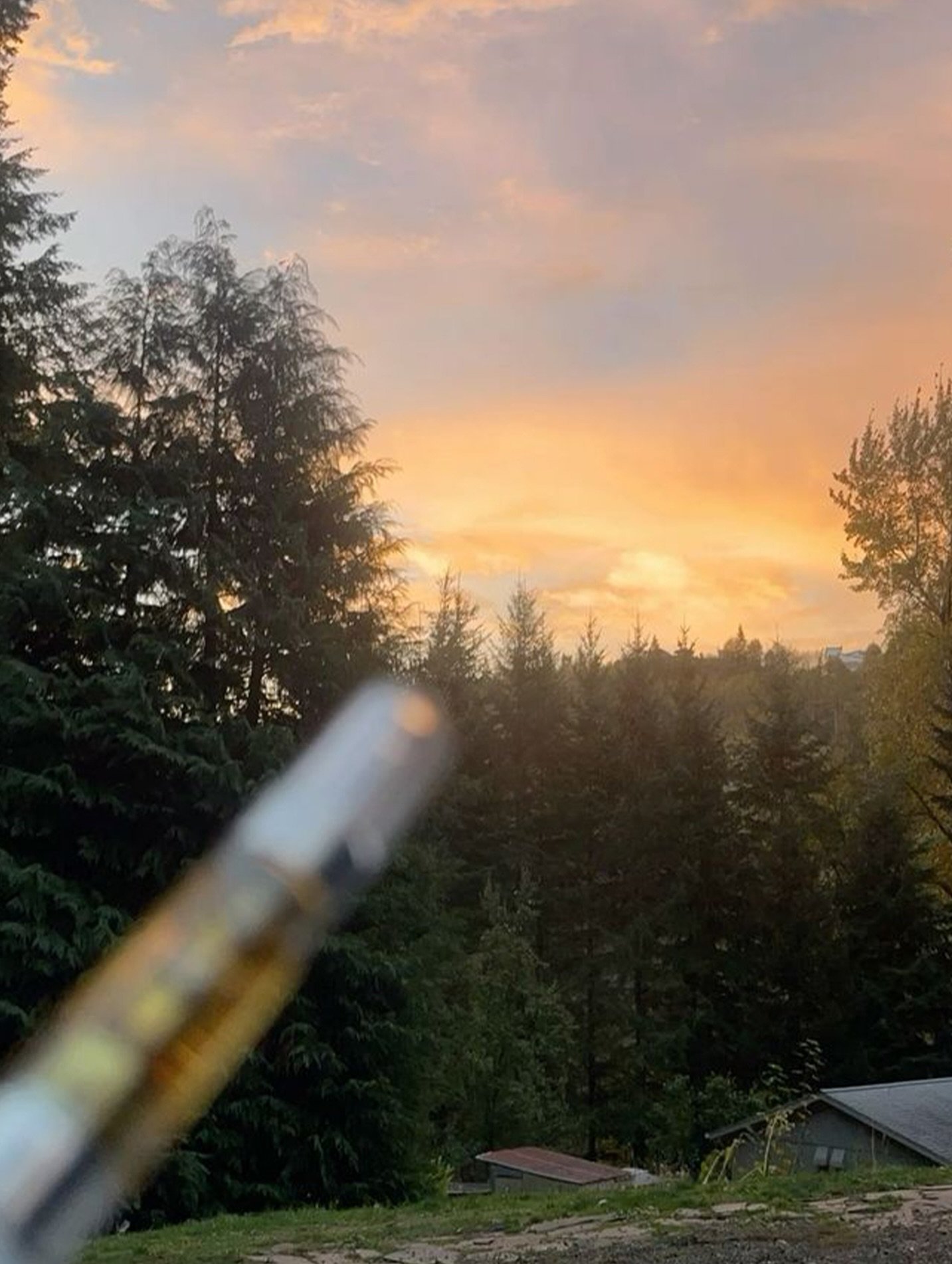 Only 36 days until spring 🌅🍃