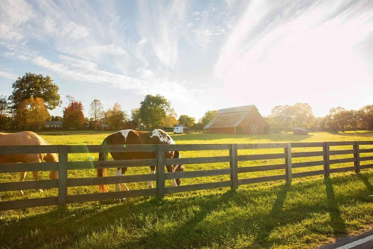 On the way to the Franklin Farmers Market this morning. I love passing beautiful farms it&rsquo;s one of the many reasons I love this town. It reminds me of another amazing farm&mdash;Bear Creek Farms&mdash;that&rsquo;s at the market today. There&rsq