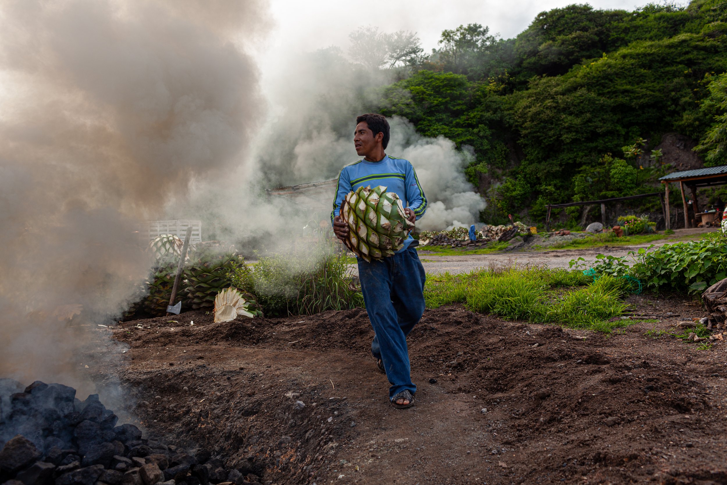 Mezcal_Mexico_Oaxaca_San Lorenzo Albarradas_0005.jpg