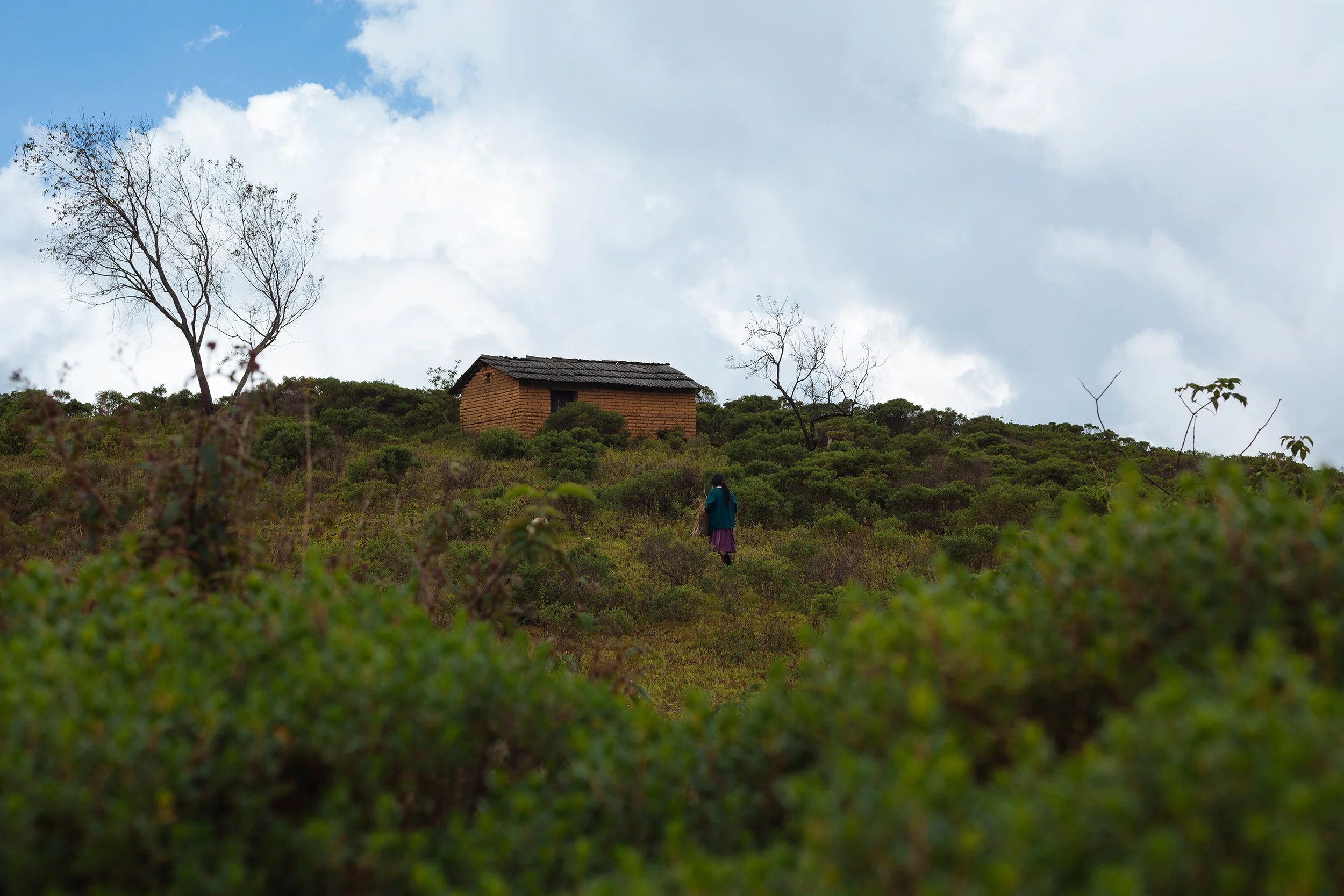 Rodrigo-Cruz_Mexico_Guerrero_San-Miguel-Amoltepec-el-Viejo_20131003_034.jpg