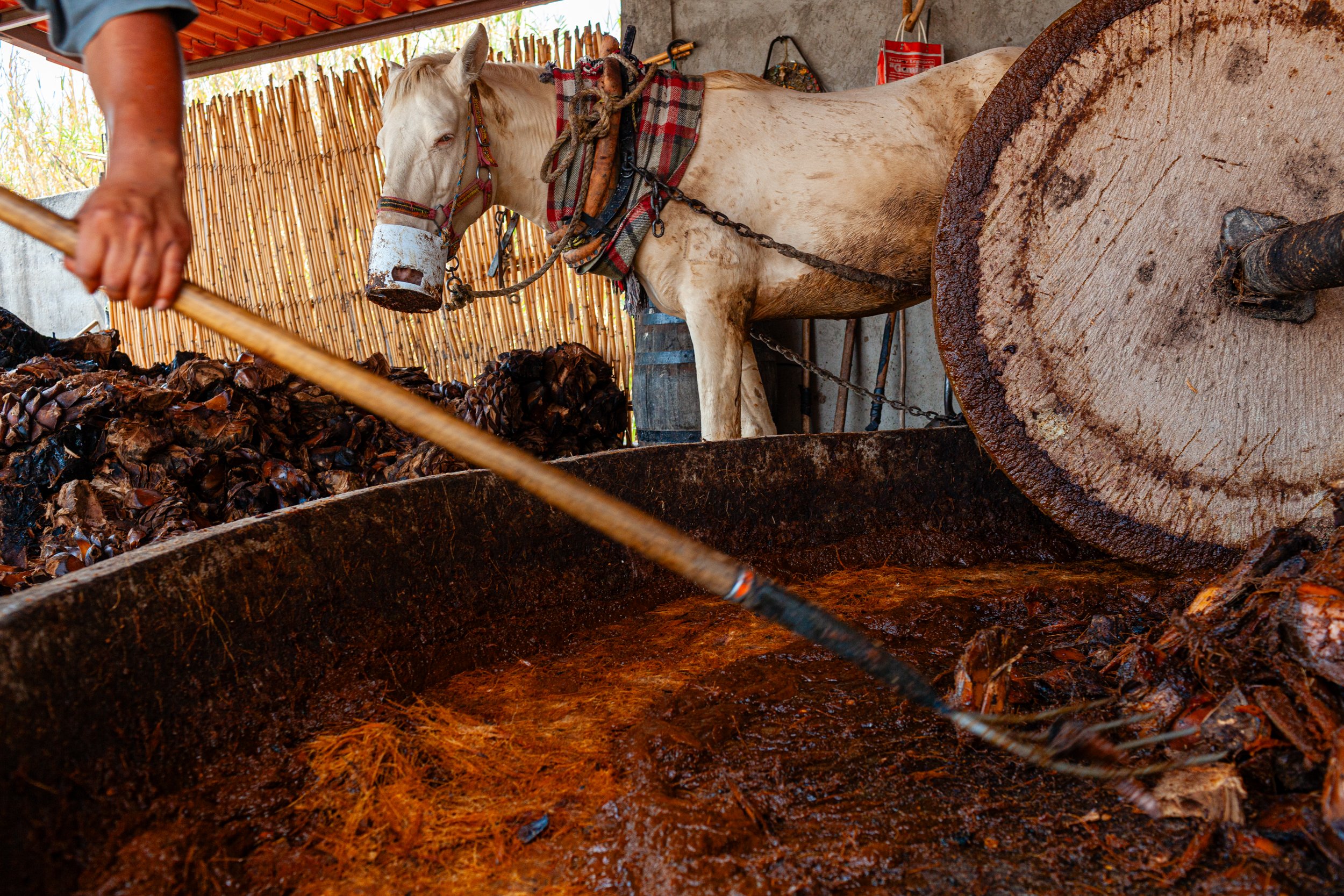 Mezcal_Mexico_Oaxaca_Santiago Matatlan_0025.jpg