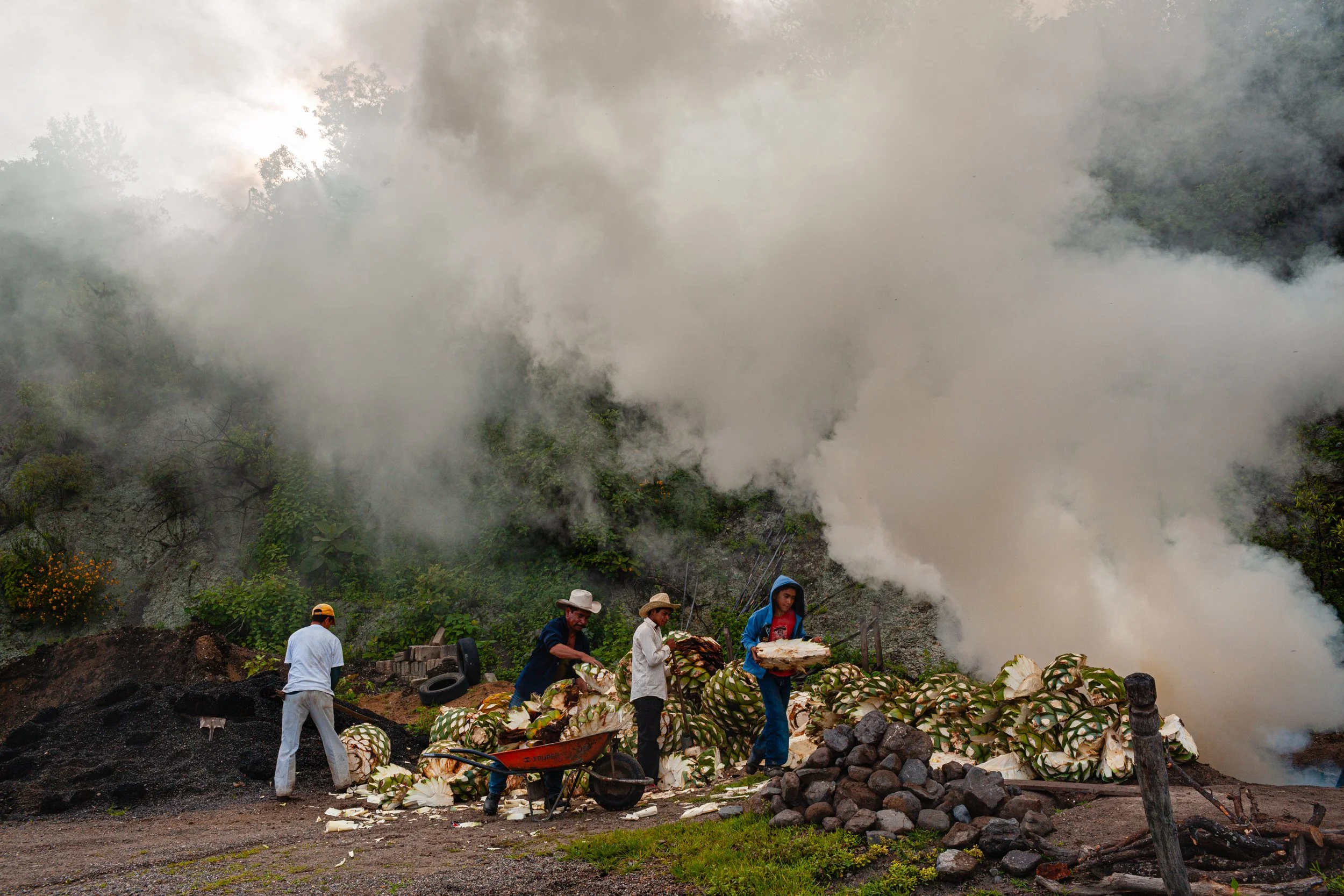 Mezcal_Mexico_Oaxaca_San Lorenzo Albarradas_0003.jpg