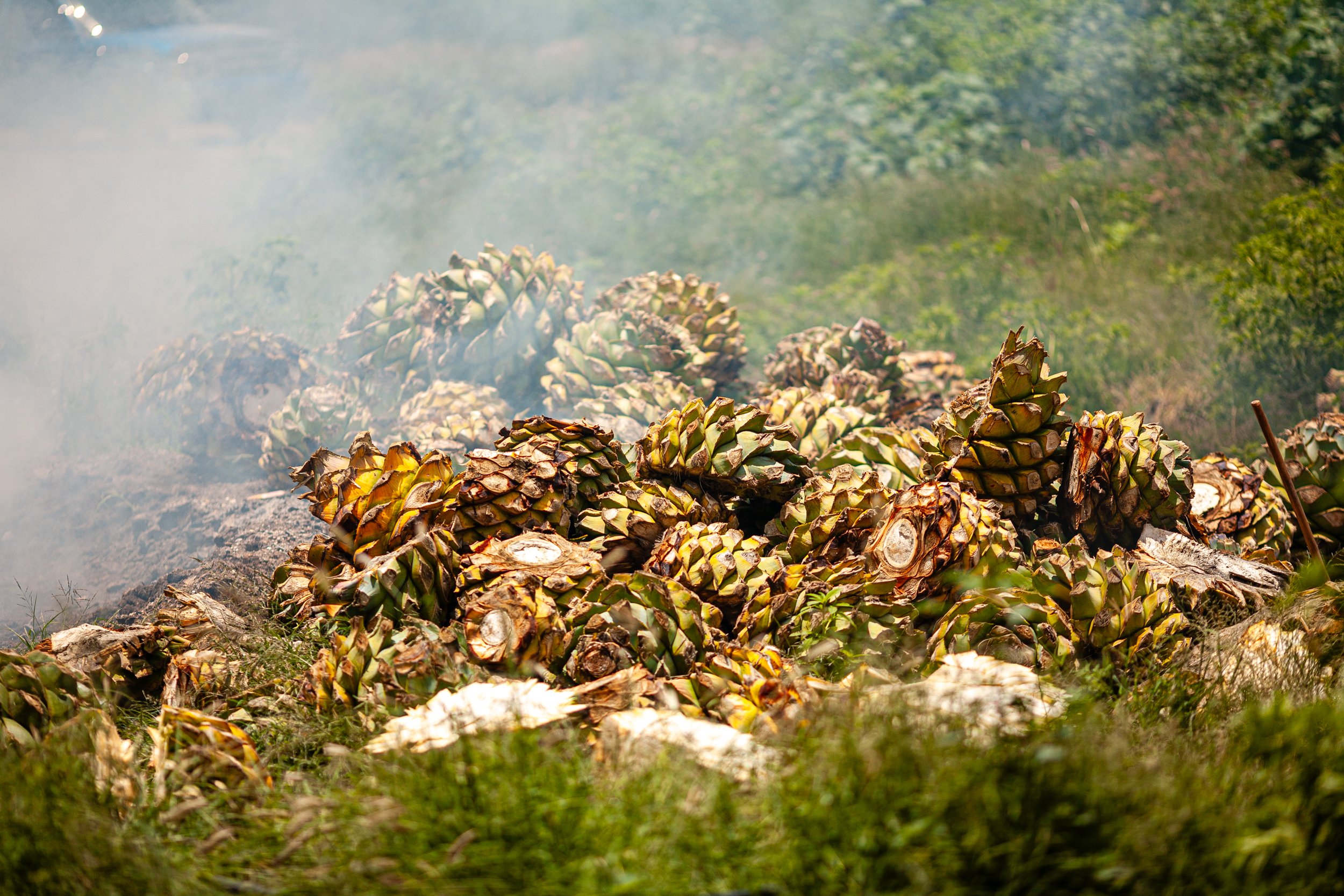 Mezcal_Mexico_Oaxaca_Santiago Matatlan_0013.jpg