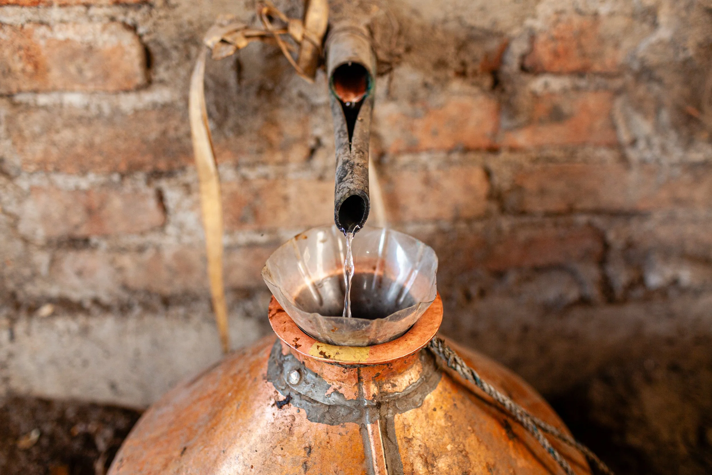 Mezcal_Mexico_Oaxaca_Santa Maria Zoquitlan_0028.jpg