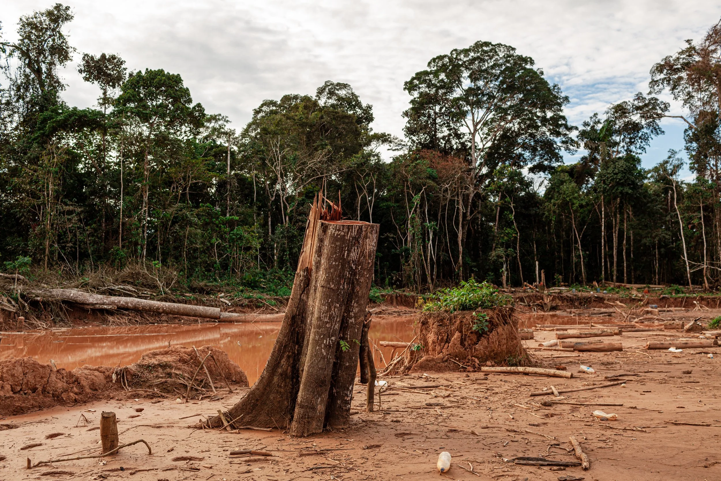 La minería de oro en el Amazonas peruano