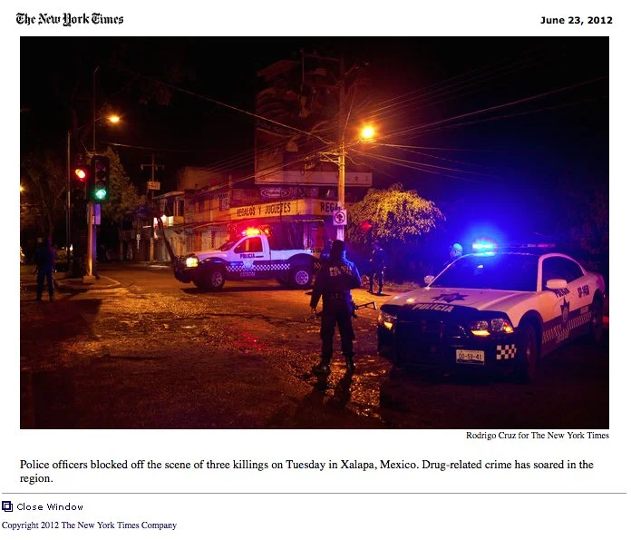 The_New_York_Times_Rodrigo_Cruz_10.jpg