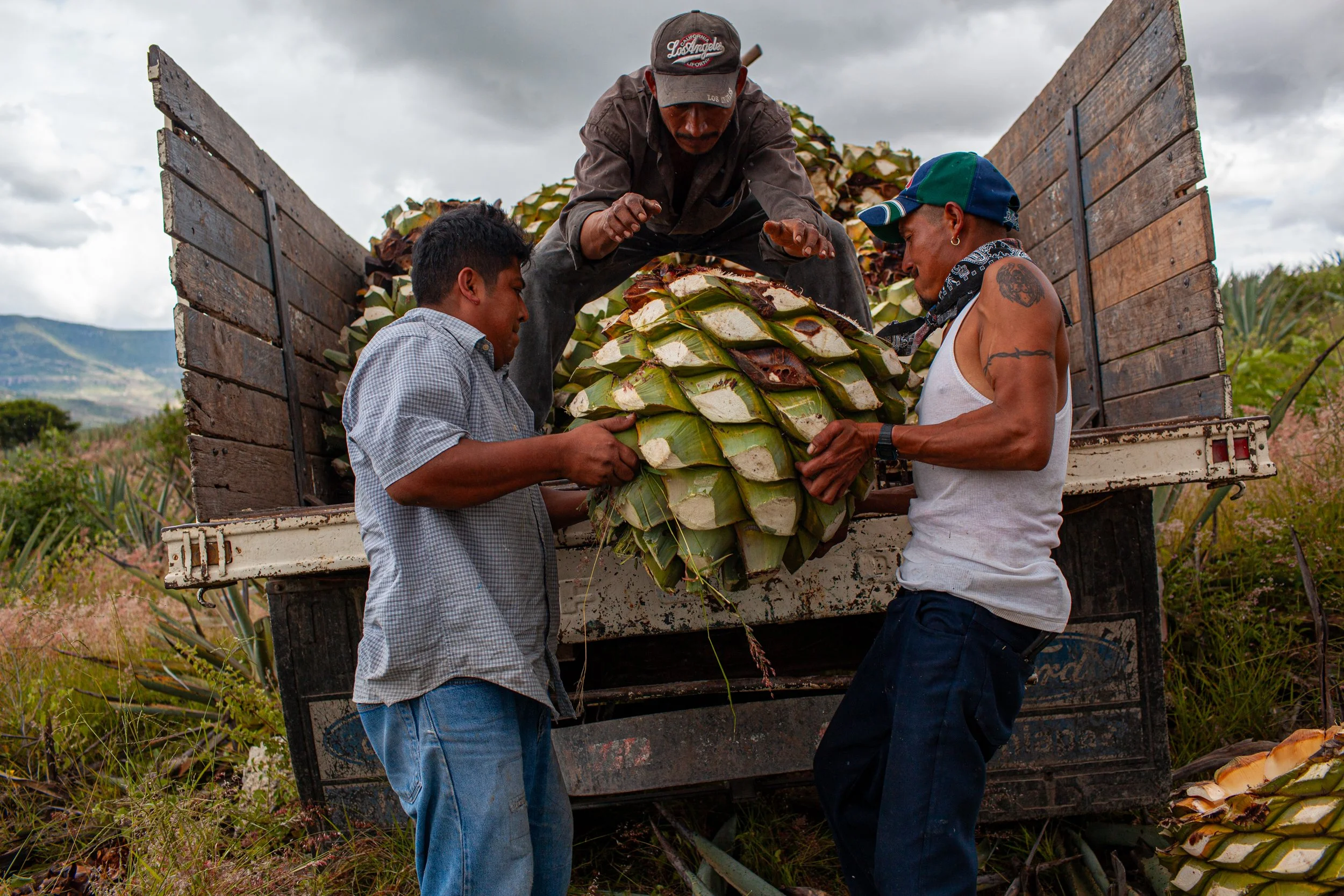 Mezcal_Mexico_Oaxaca_Santiago Matatlan_0011.jpg