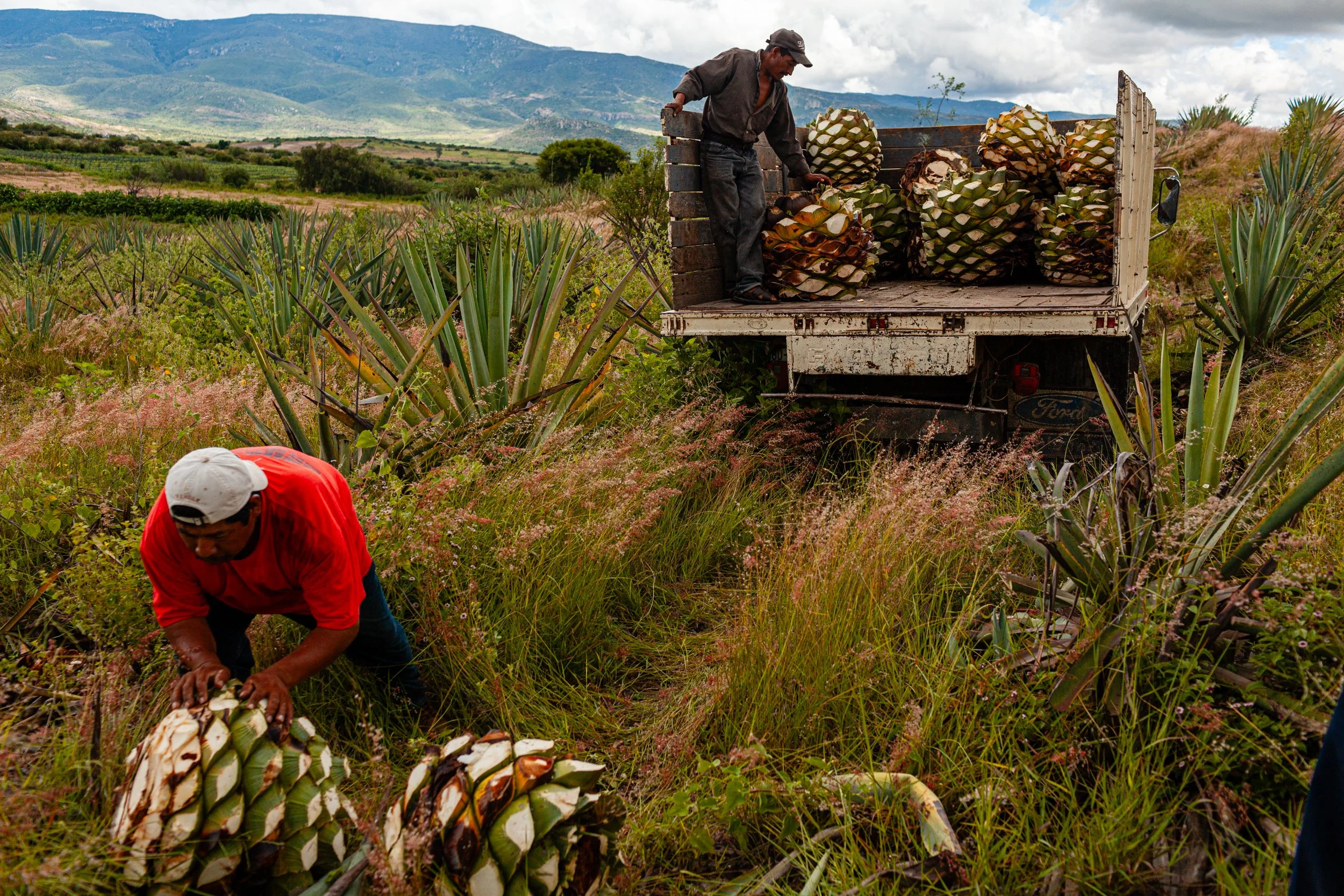 Mezcal_Mexico_Oaxaca_Santiago Matatlan_0010.jpg