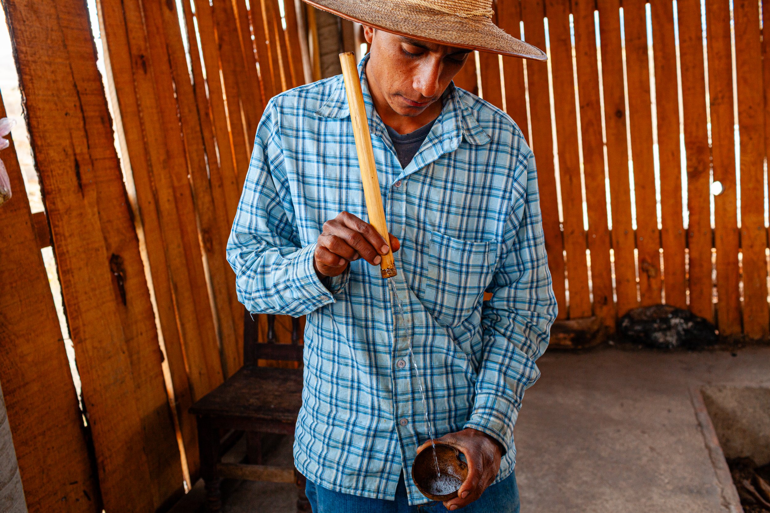Mezcal_Mexico_Oaxaca_Miahuatlan de Porfirio Diaz_0030.jpg