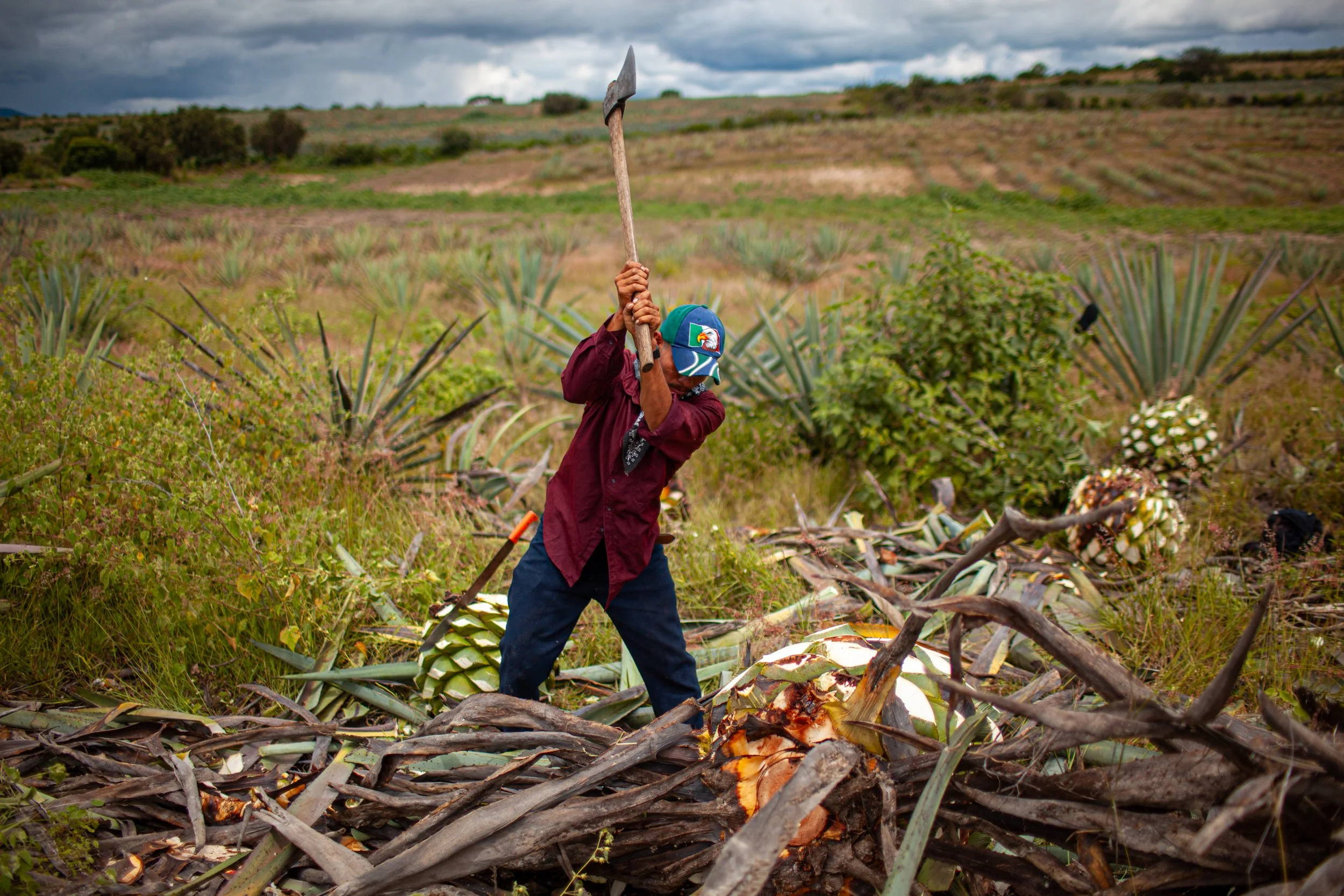 Mezcal_Mexico_Oaxaca_Santiago Matatlan_0007.jpg