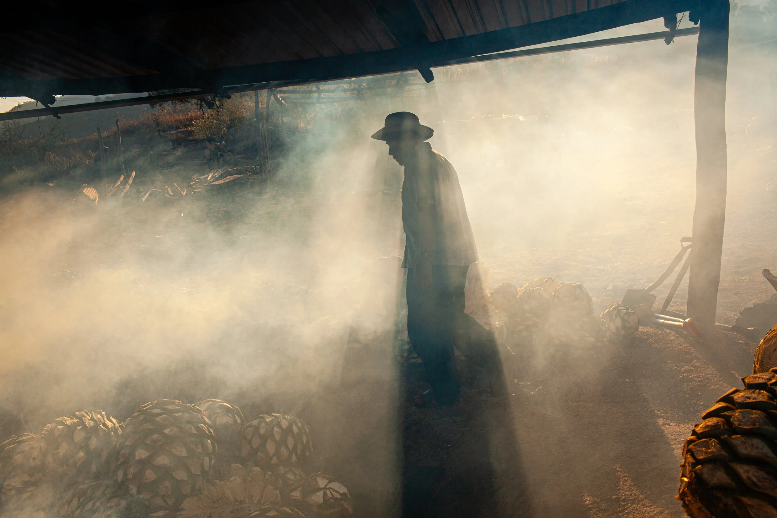 Mezcal_Mexico_Oaxaca_San Lorenzo Albarradas_0020.jpg