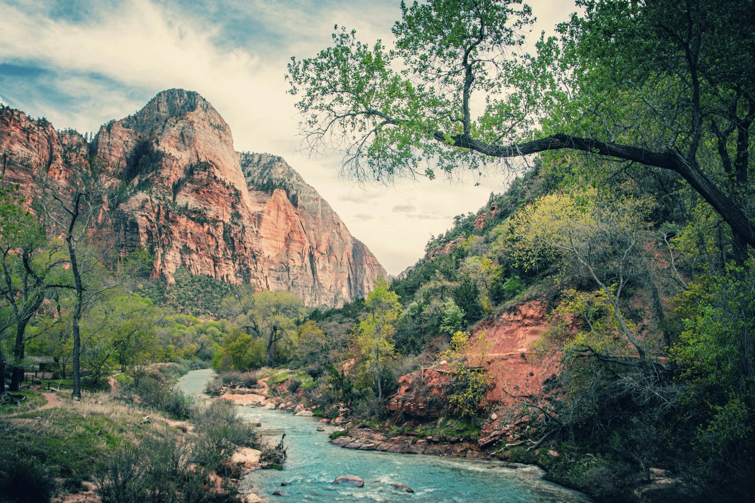 Group of women walking in nature during a somatic healing retreat in Gilbert, AZ. This nervous system-focused experience supports emotional neglect recovery through movement, reflection, and connection.