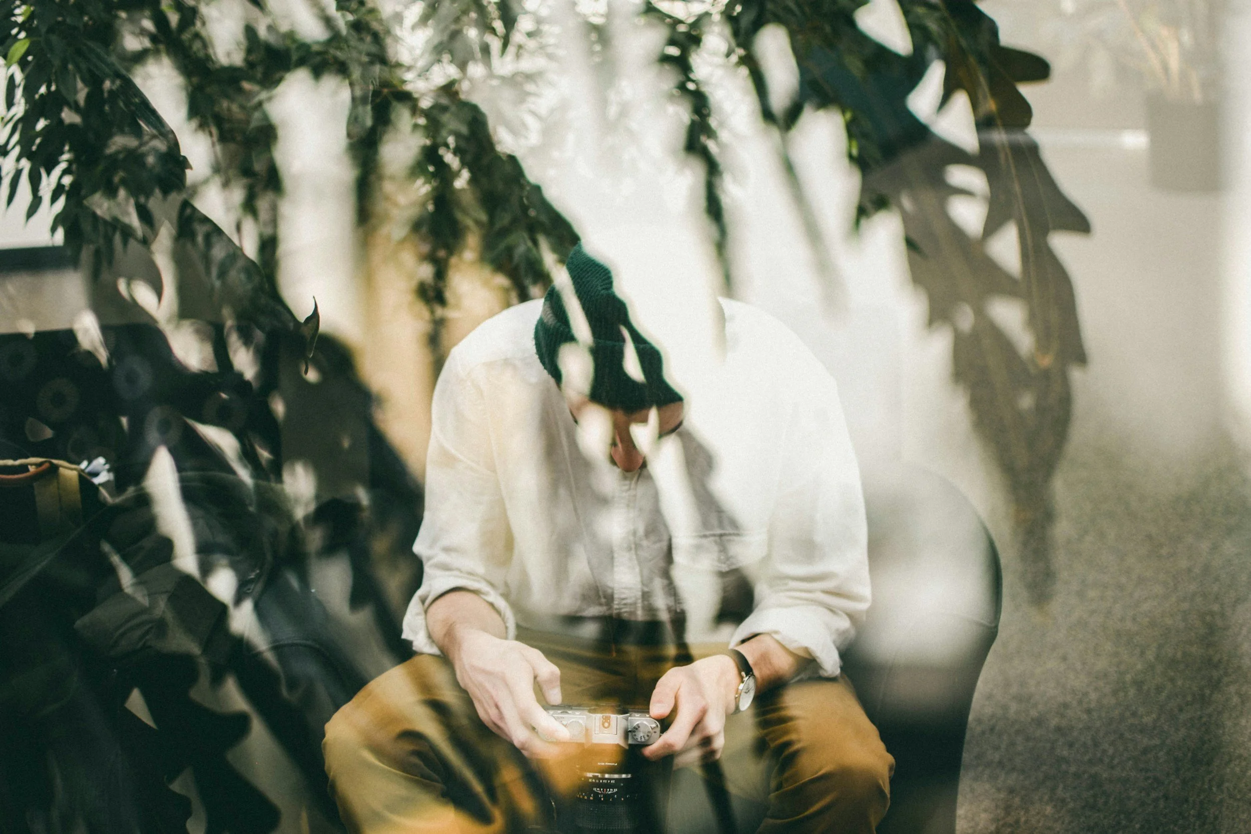 dissociation trauma therapy gilbert arizona emotional numbness cptsd nervous system healing