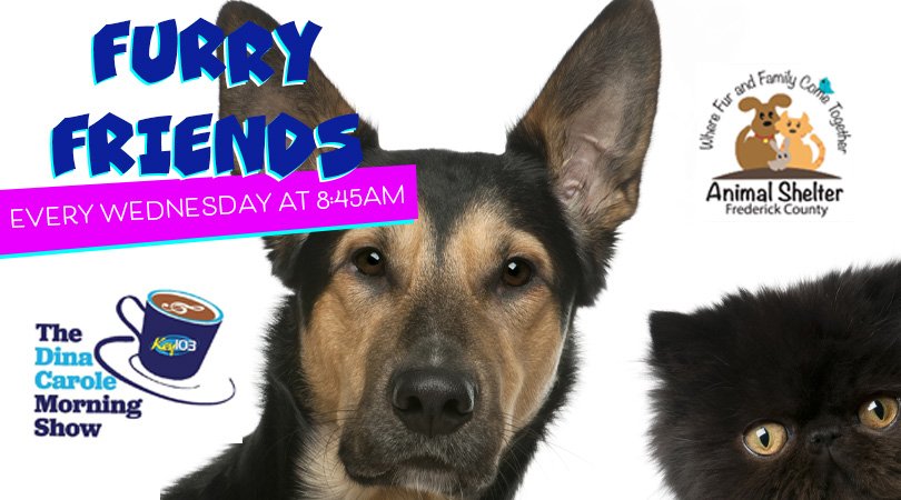 Furry Friends 2024.jpg