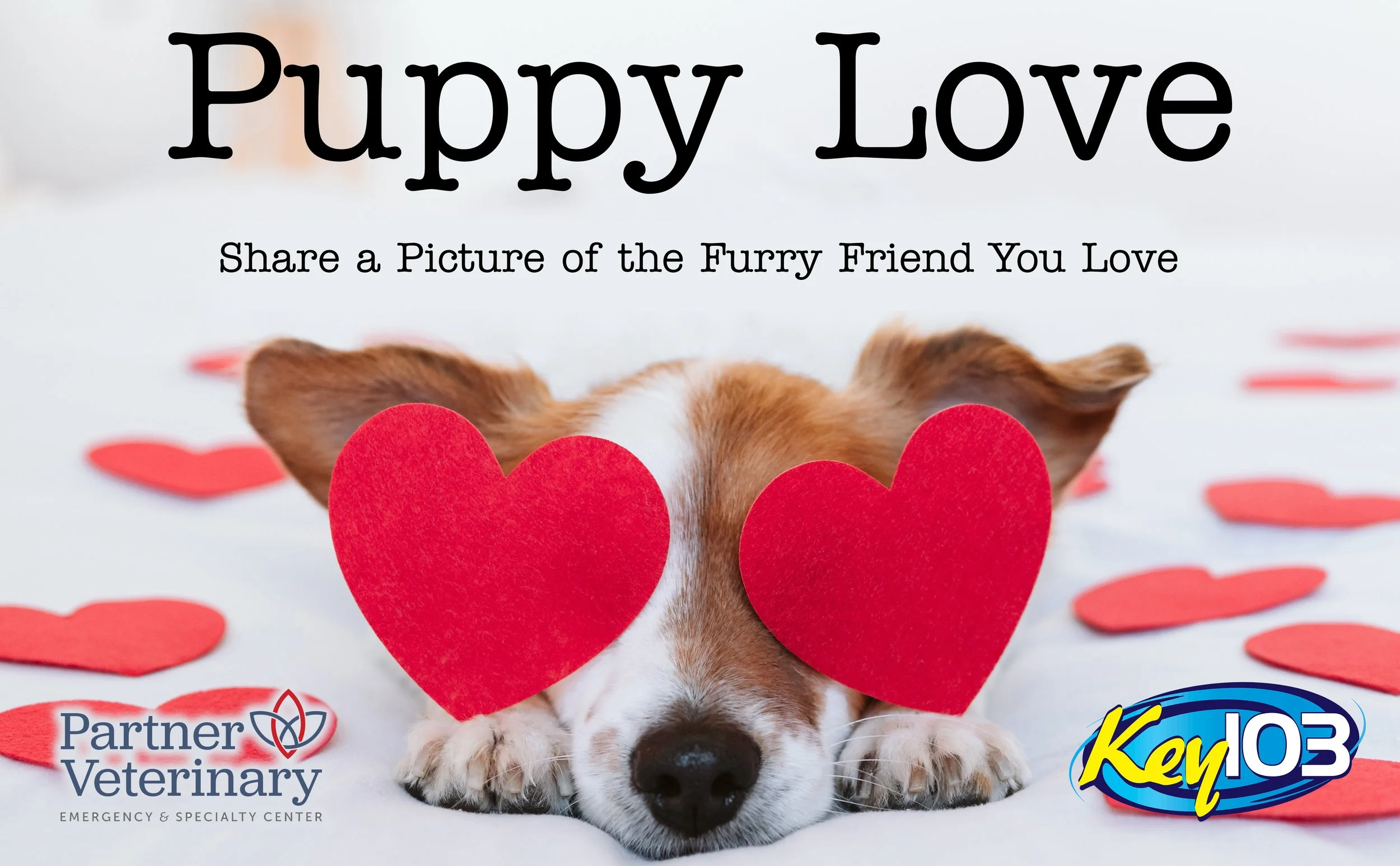 Key_Puppy Love 2025.jpg