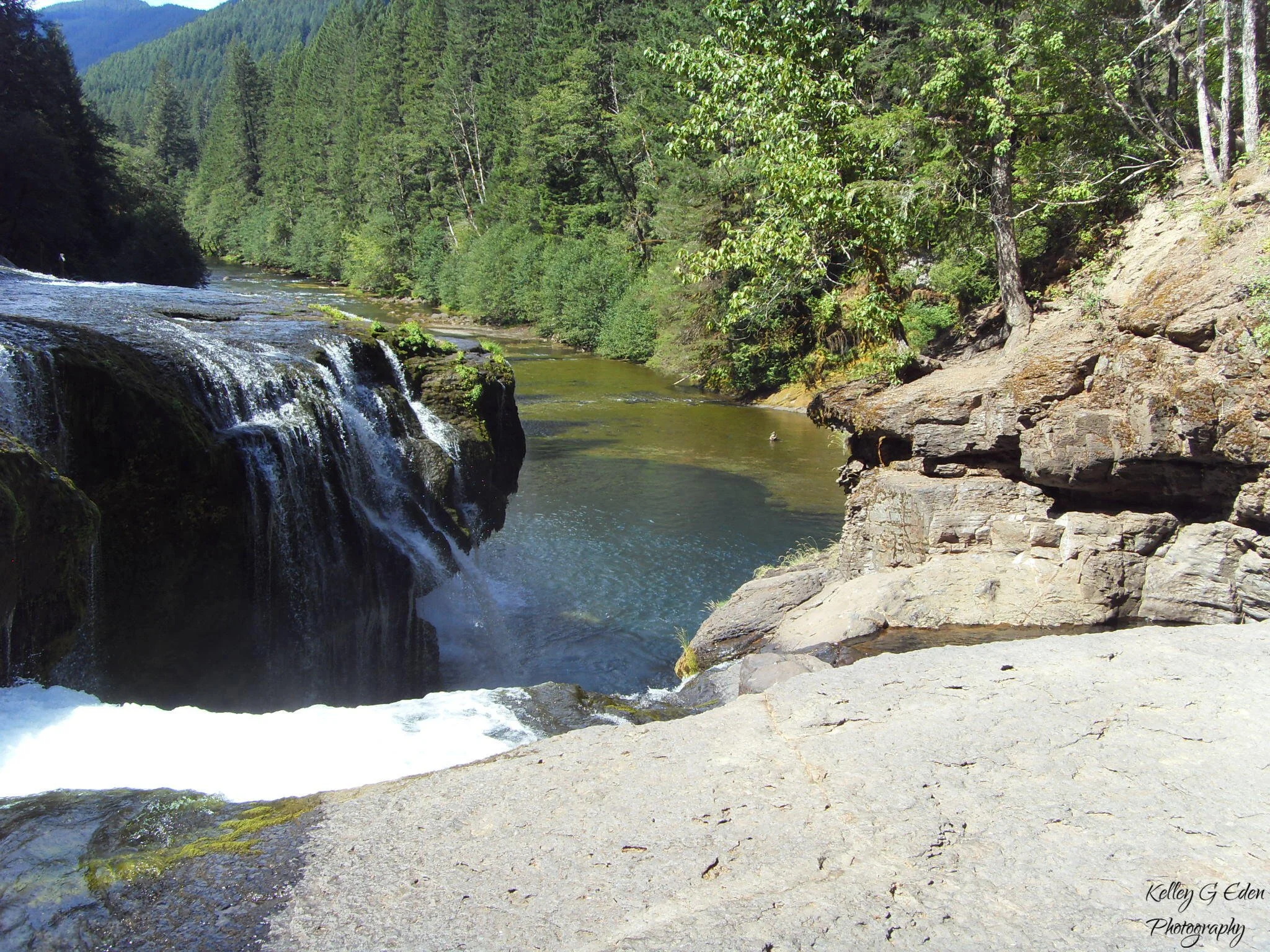 Washington March 2012-Sept 3 2012 129 signed.jpg