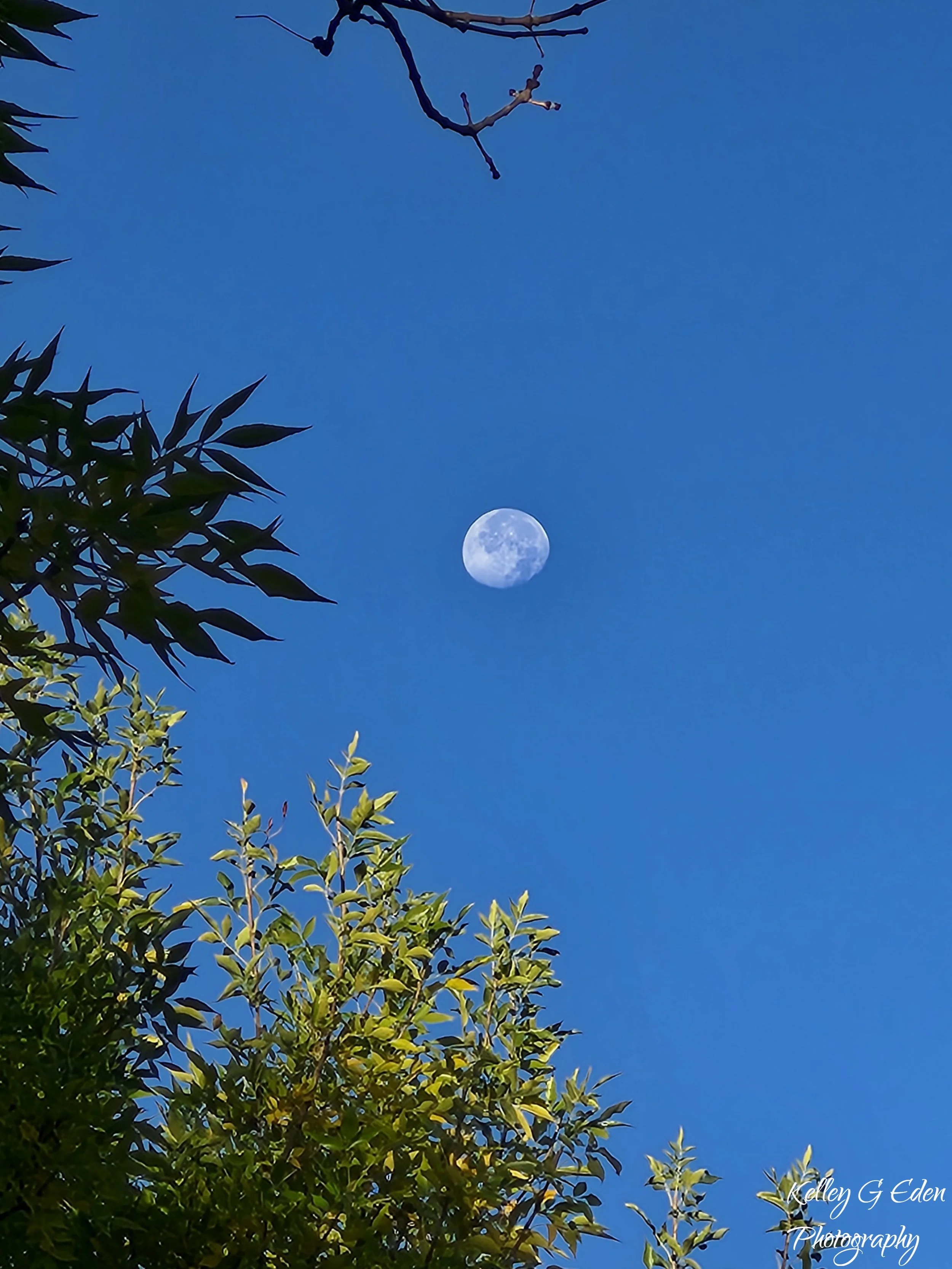 Windsor Moon Oct 2025 signed.jpg