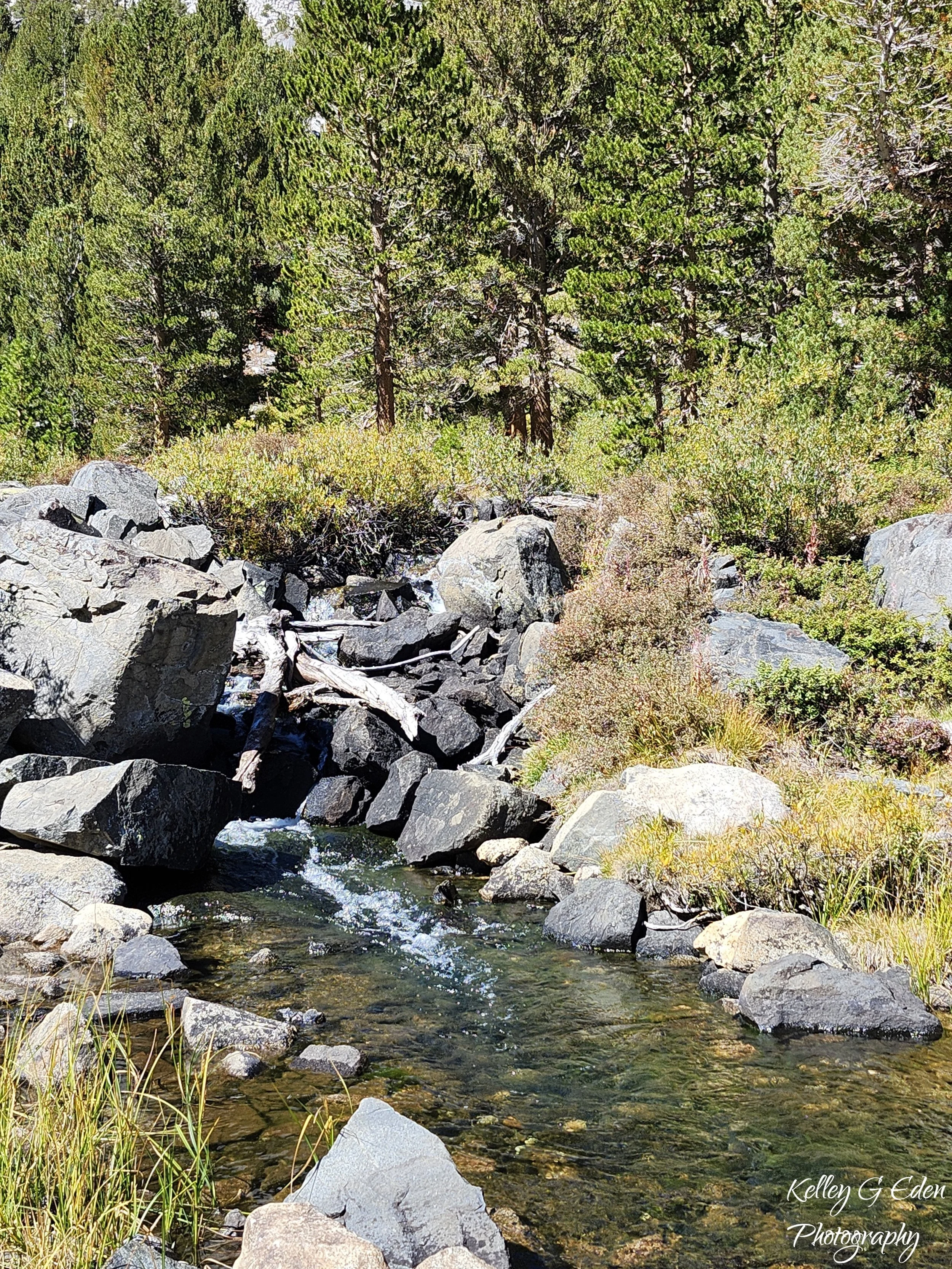 Mammoth Lakes 6 Sept 2025 signed.jpg