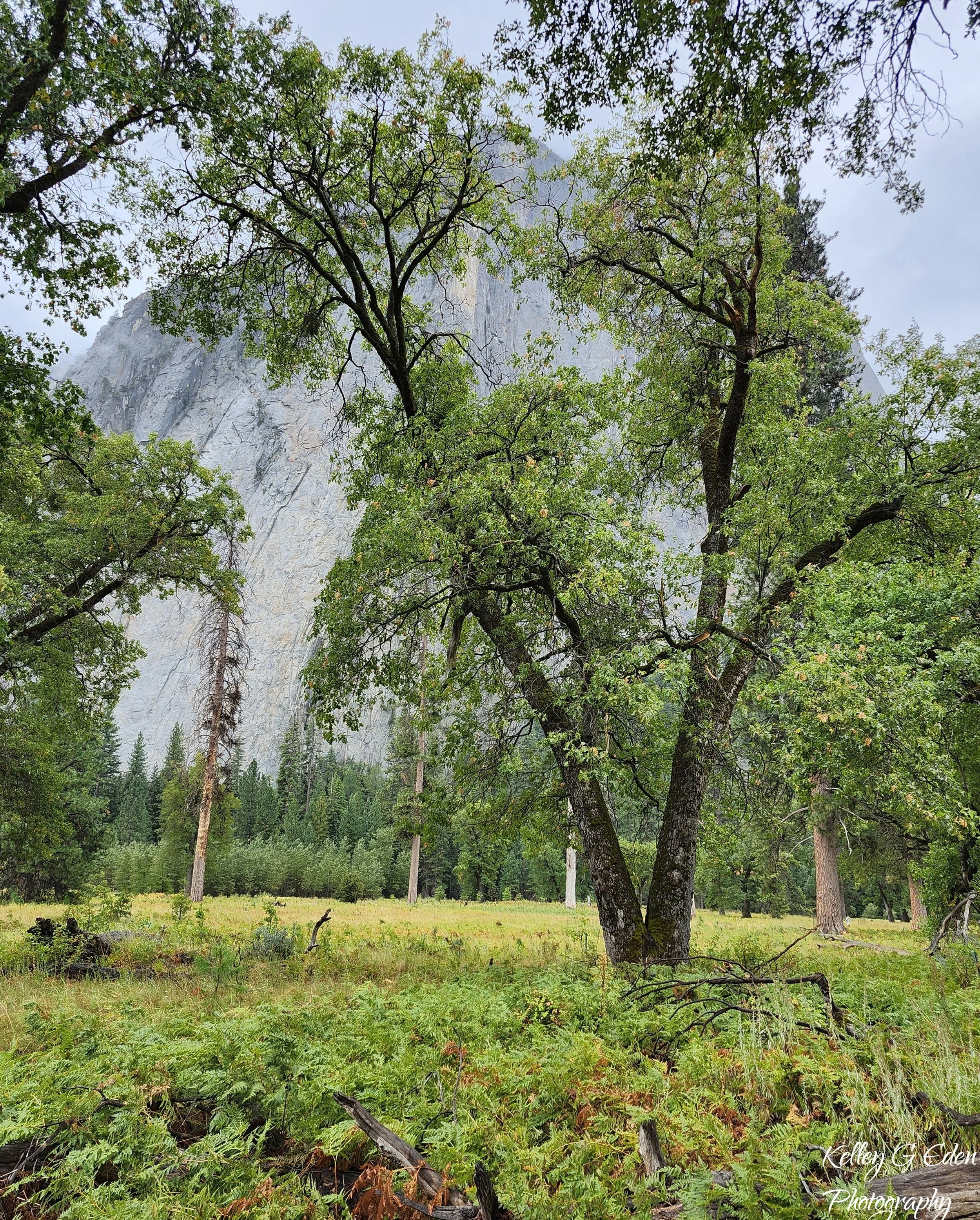 Yosemite 3 Sept 2025 signed.jpg