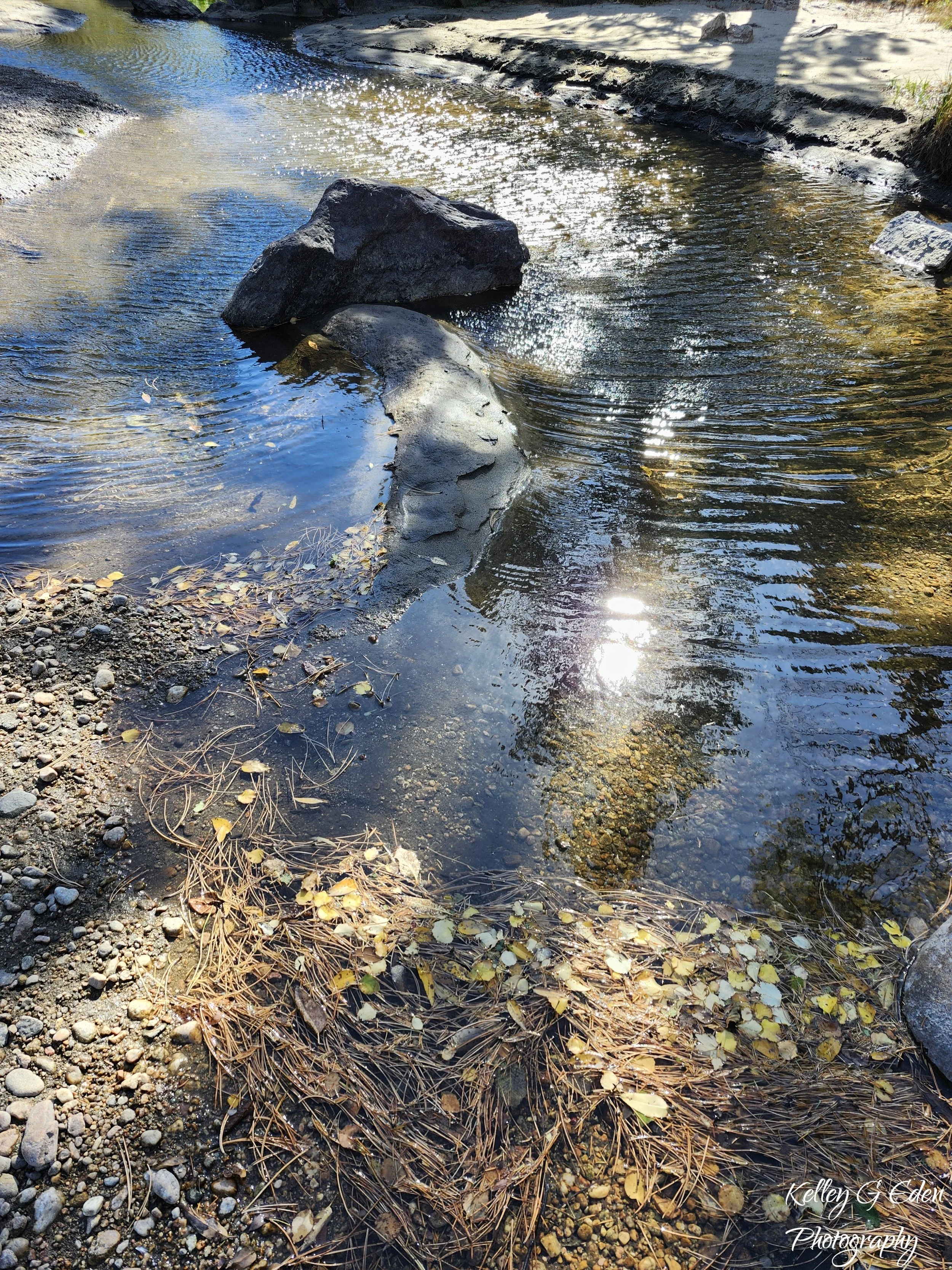 Poudre River 2 Oct 2024 signed.jpg