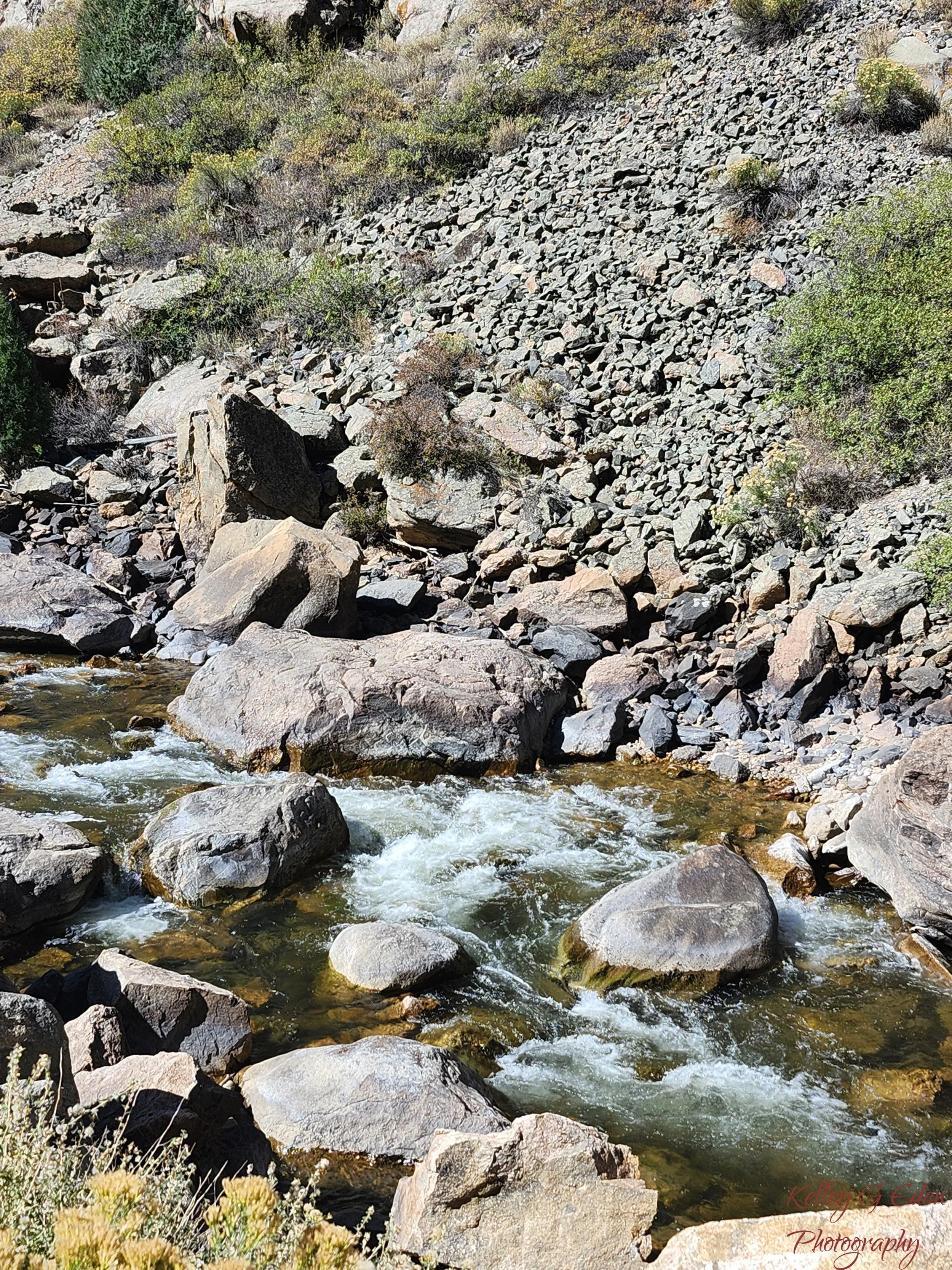 Poudre River 6 Oct 2024 signed.jpg