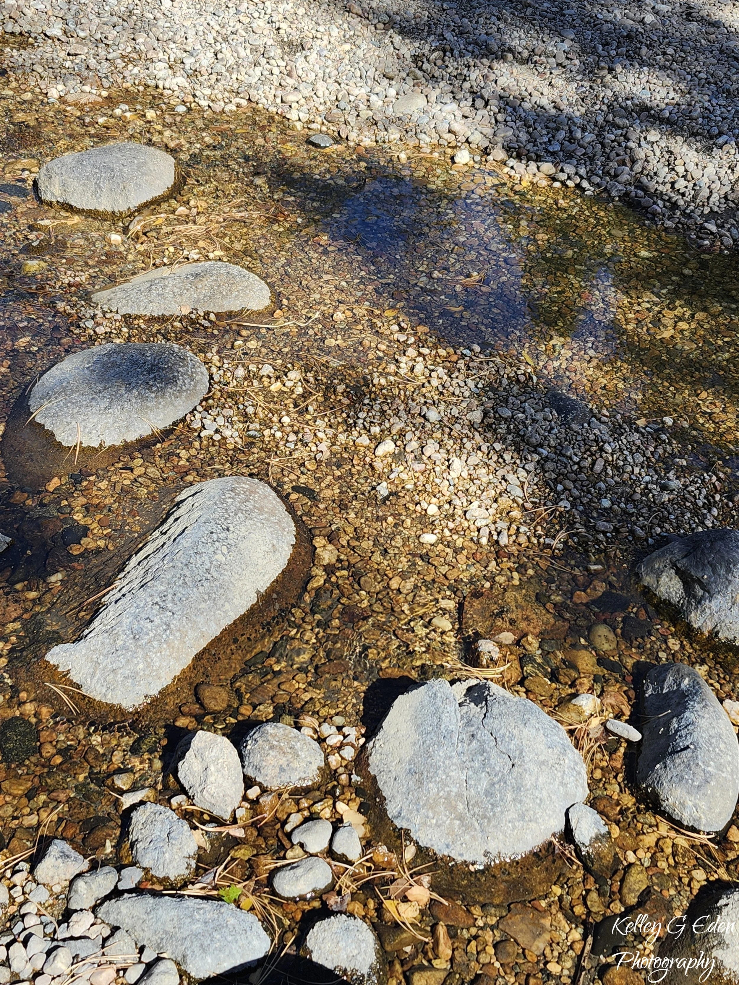 Poudre River 5 Oct 2024 signed.jpg
