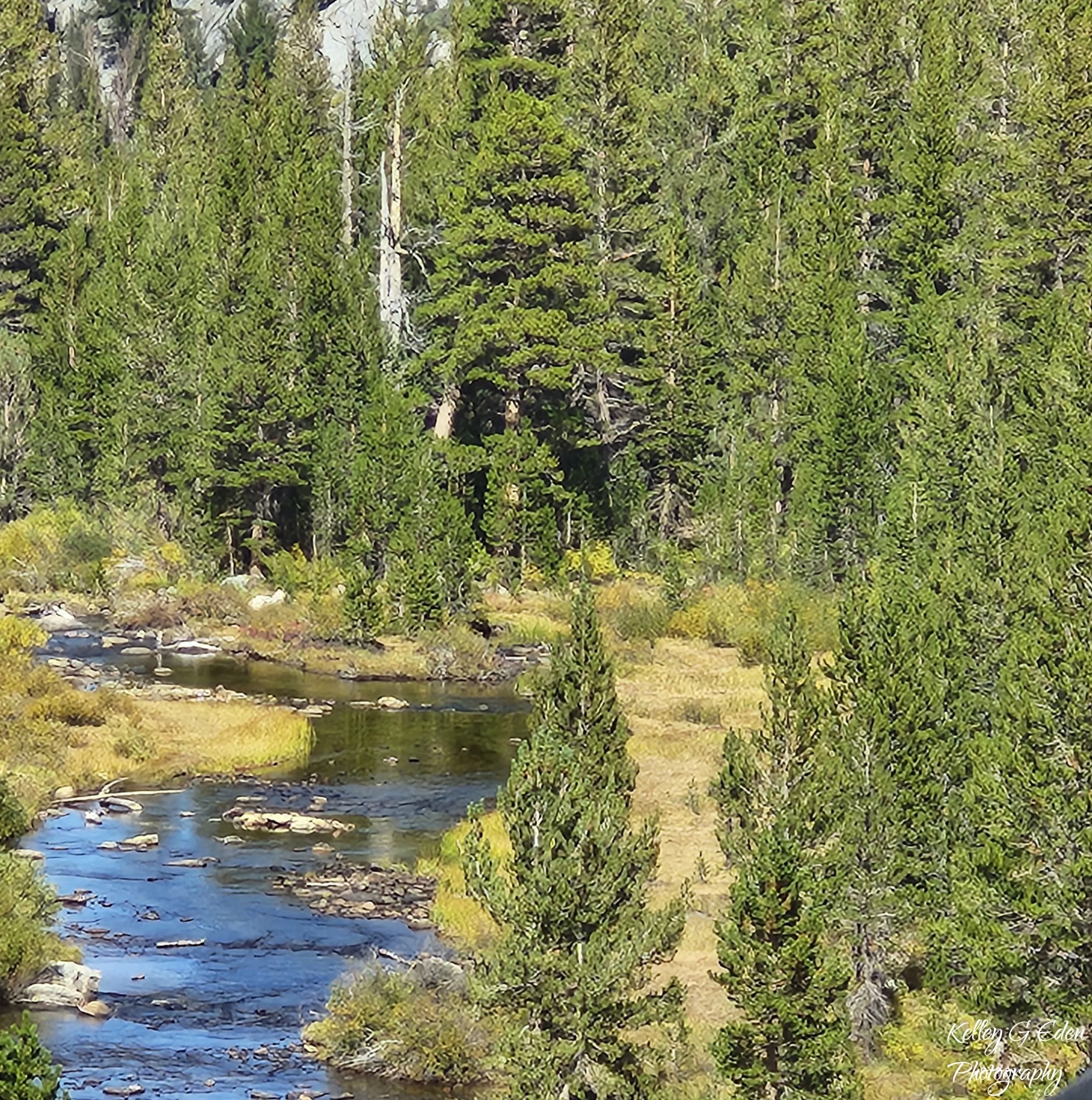 Mammoth Lakes 5 Sept 2025 signed.jpg