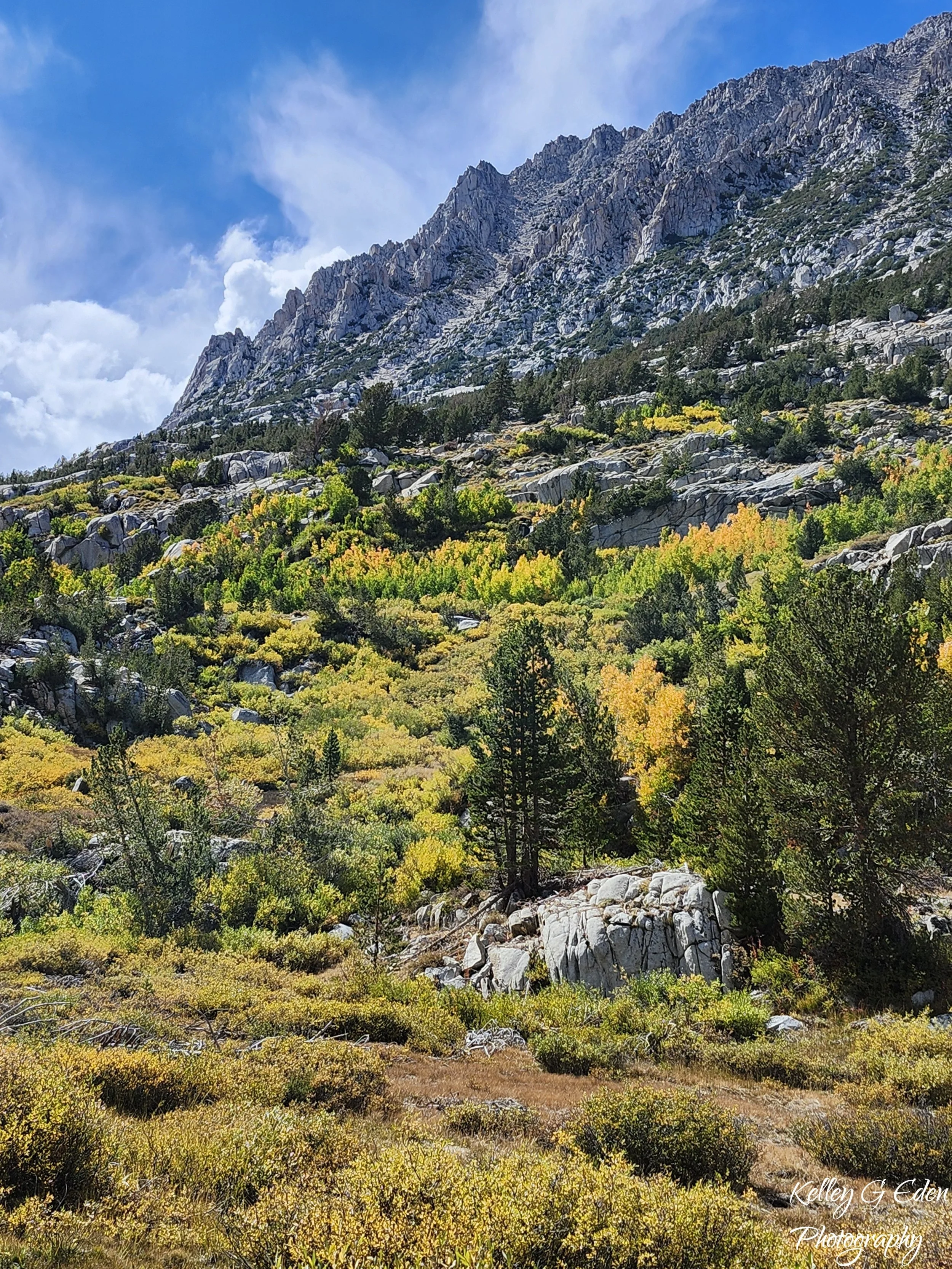 Mammoth Lakes 4 Sept 2025 signed.jpg