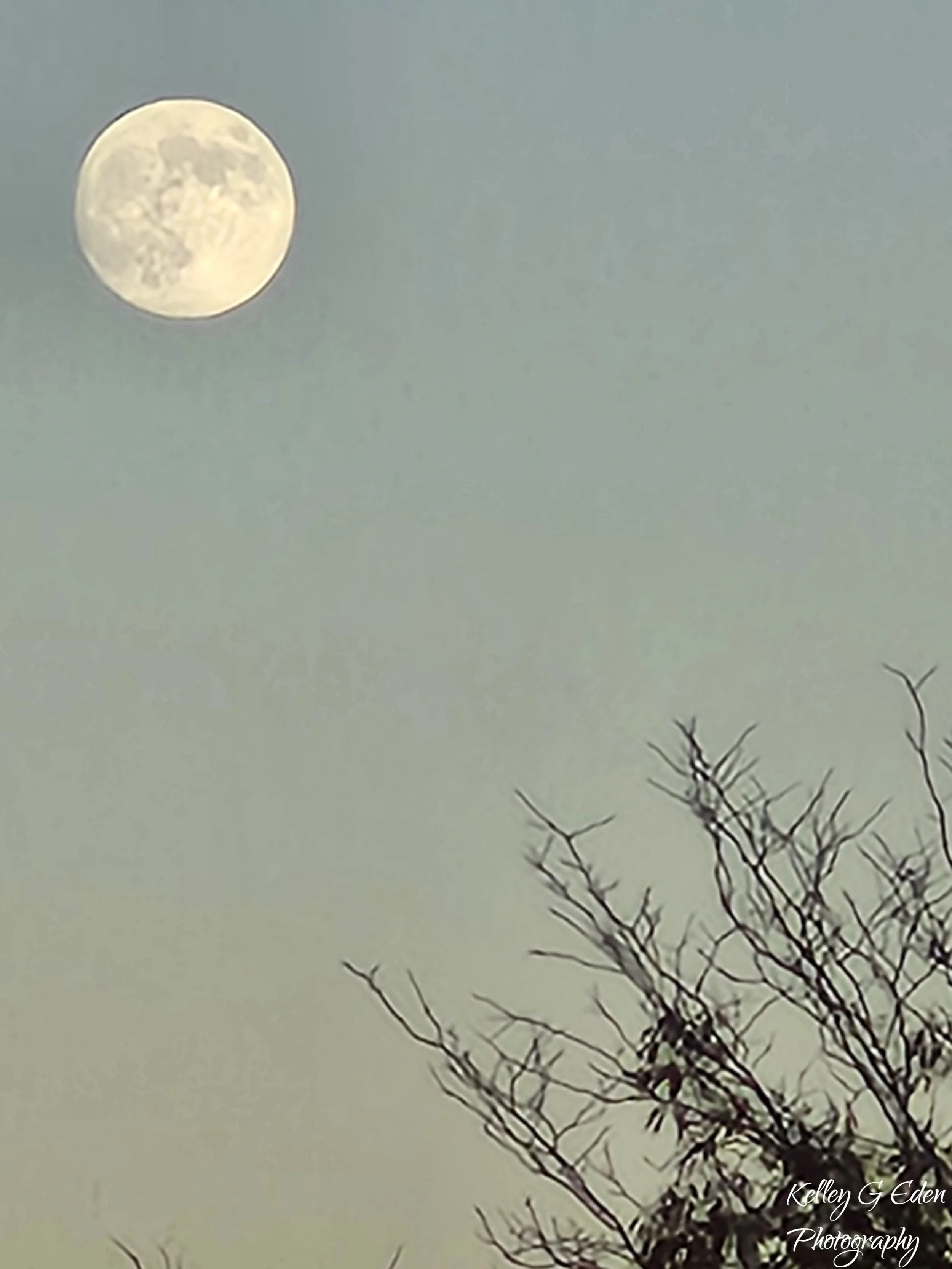 Full Moon Nov 2024.jpg