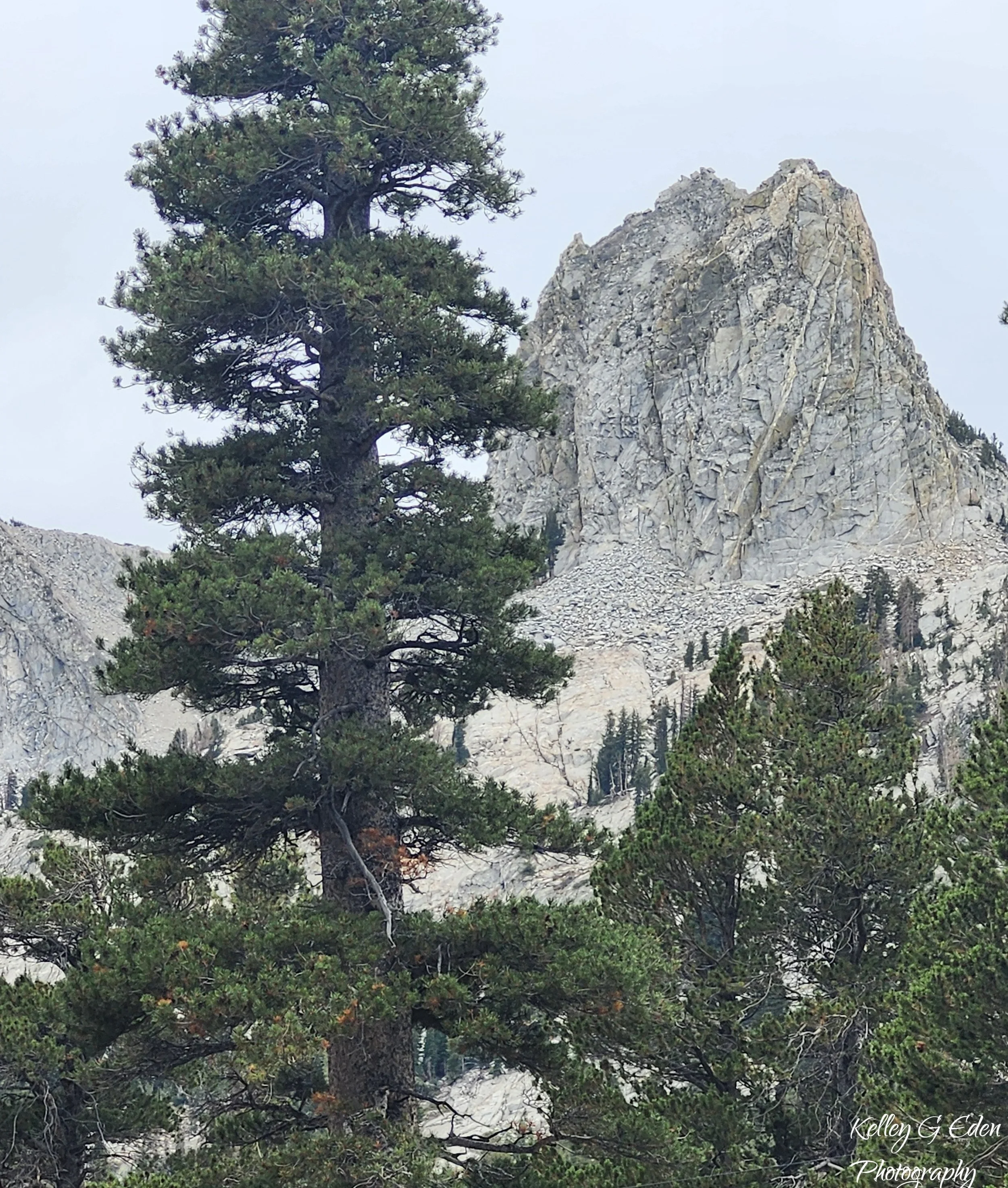 Mammoth Lakes 15 Sept 2025 signed.jpg