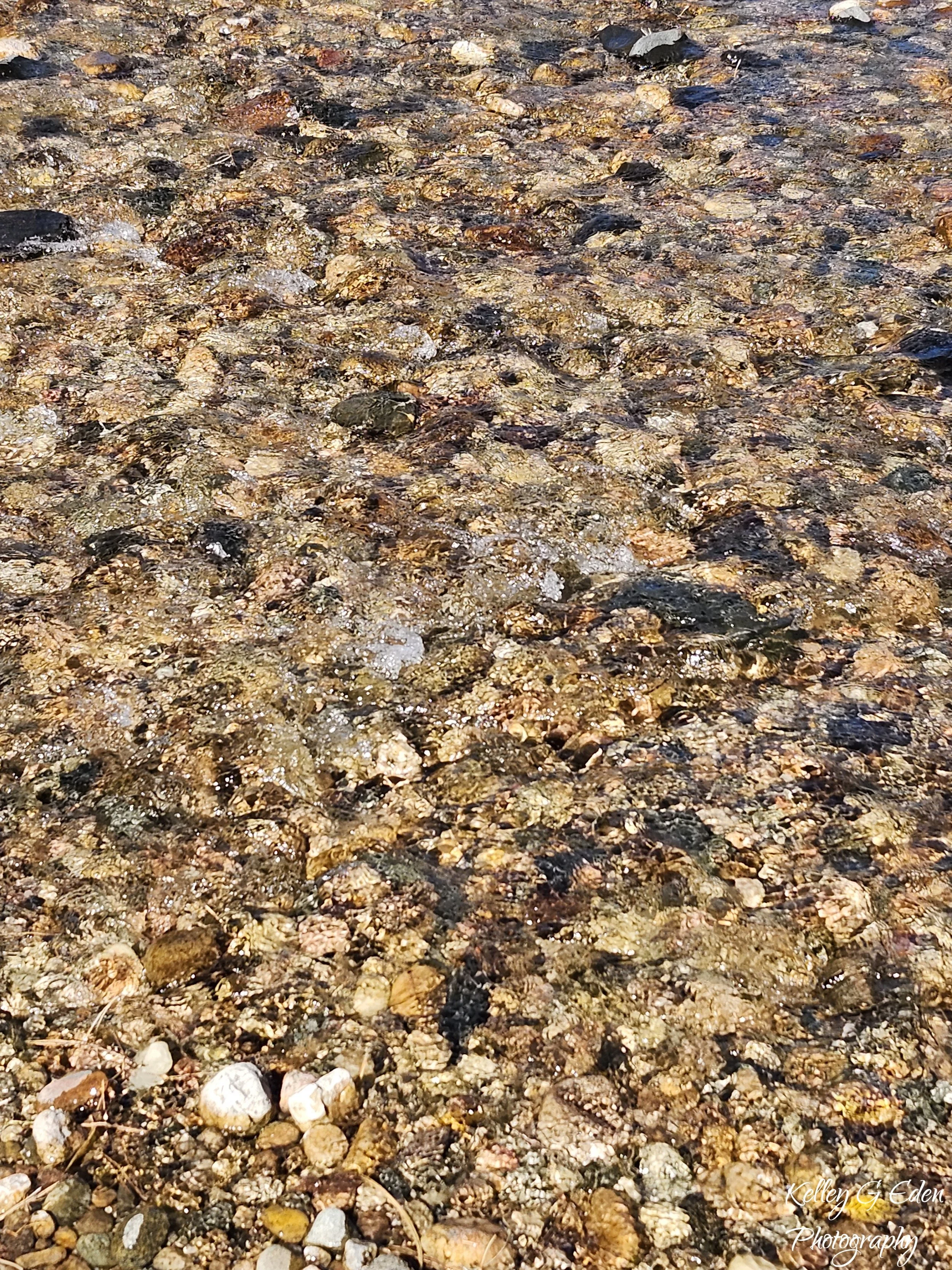 Poudre River 4 Oct 2024 signed.jpg