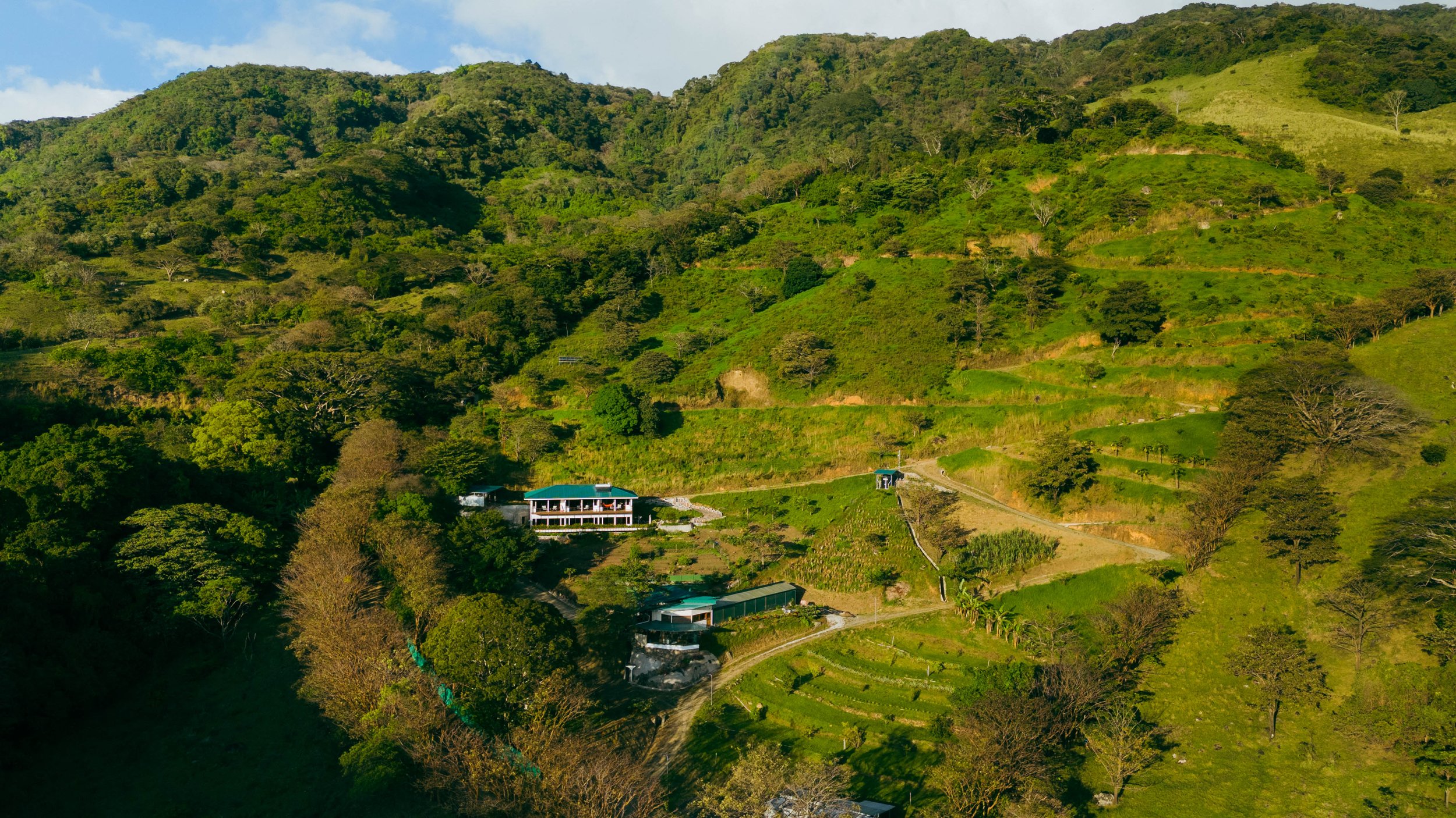 DJI_20250118234155_0013_D.jpg