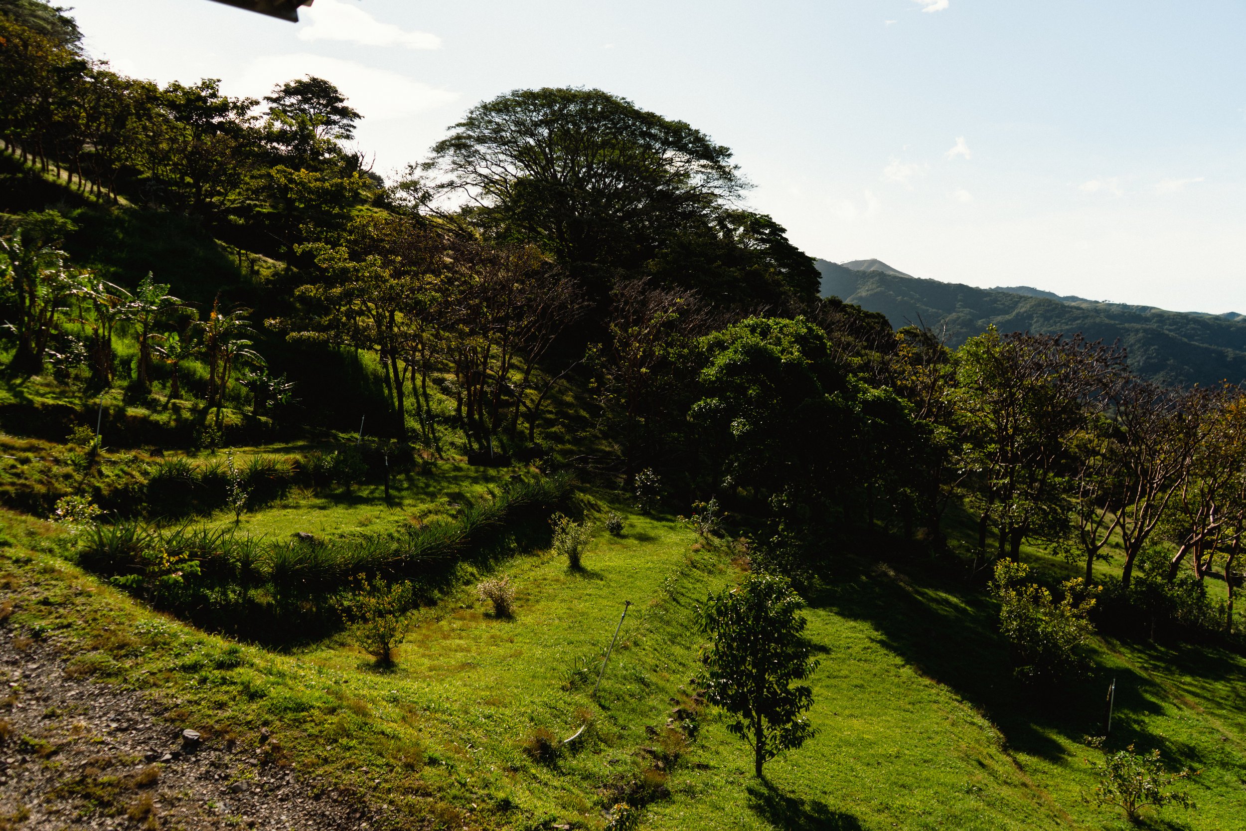 image00015.jpeg