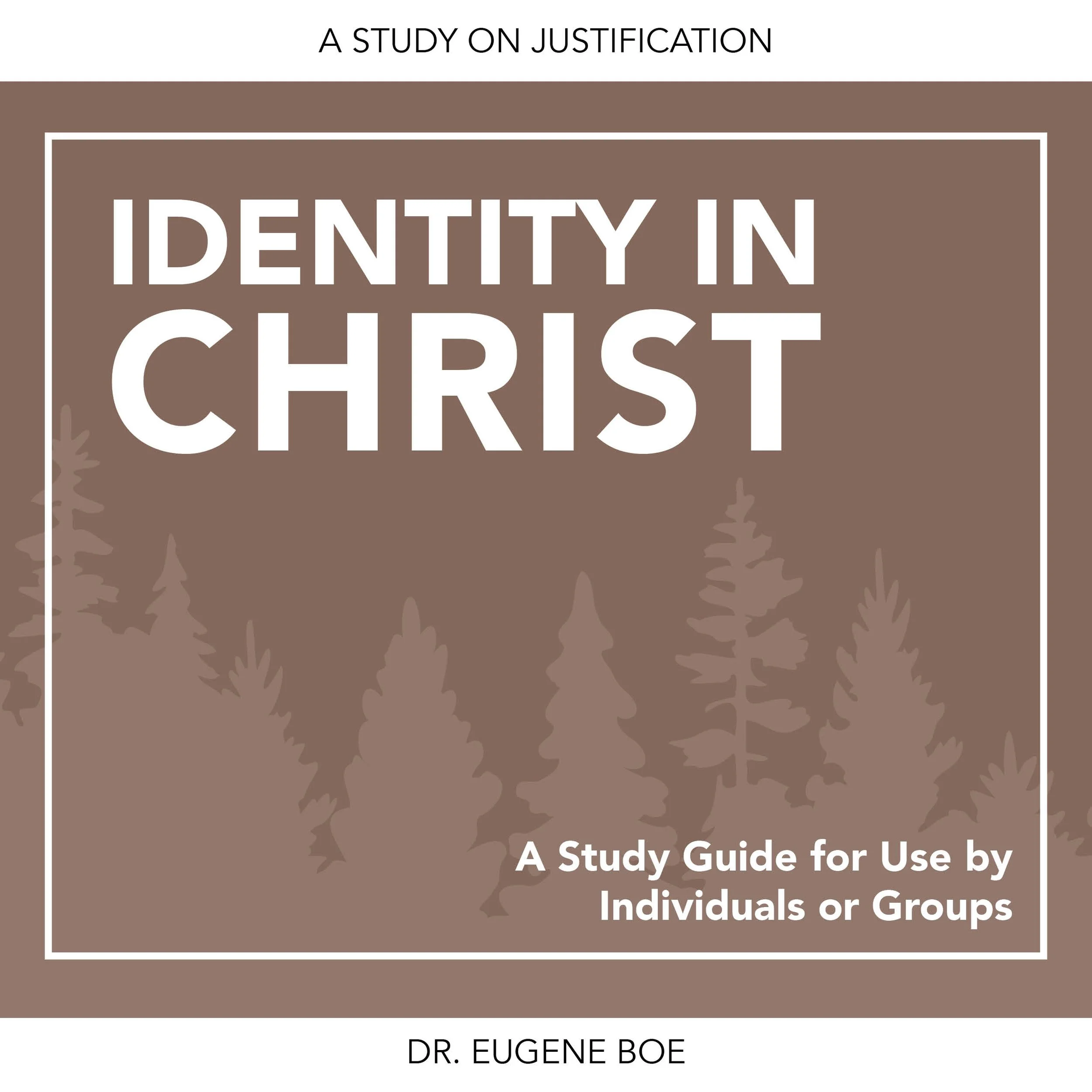 Identity in Christ: A Study on Justification (Digital)