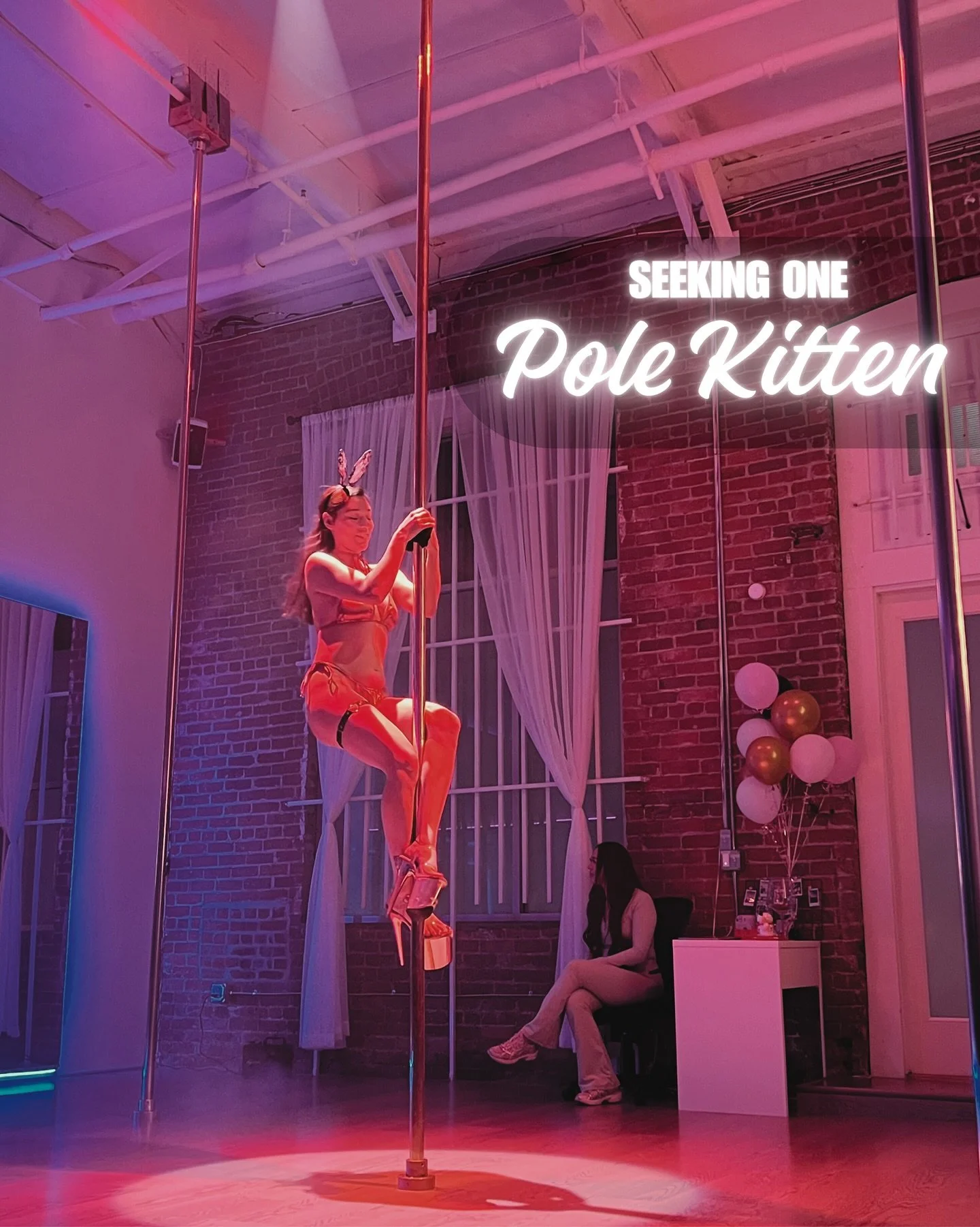 We’re looking for 1 Pole Kitten πΎ
to help at the 24K Anniversary Showcase β¨
You’ll assist with front desk check-ins and keep our poles sparkling under the golden spotlight π
Must be able to climb both brass & stainless steel poles