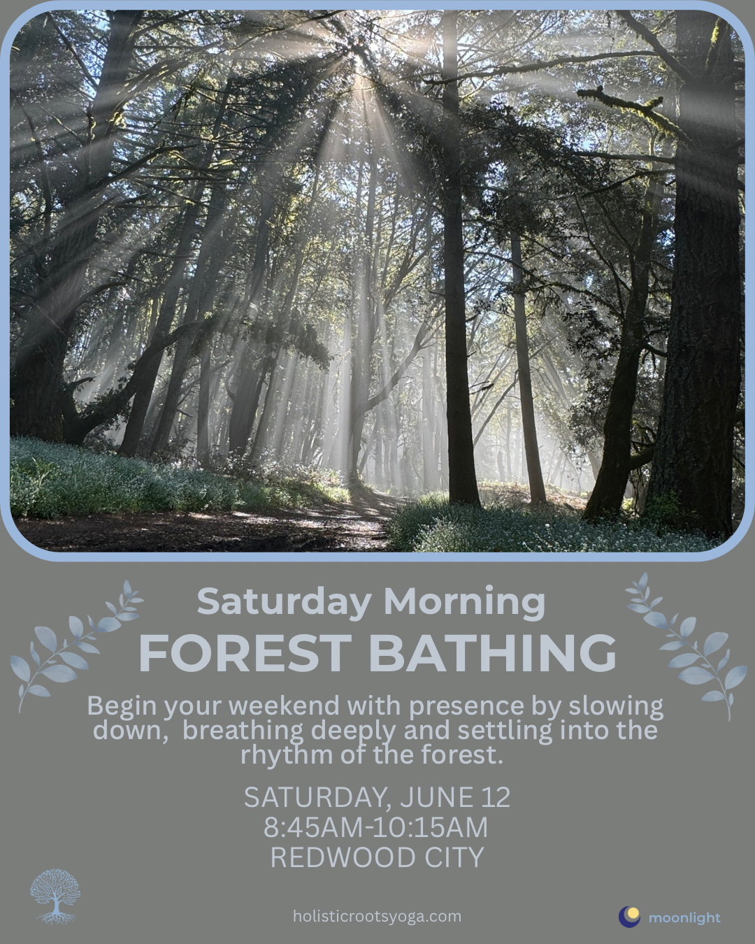 Saturday Morning Forest Bathing- Adult Session