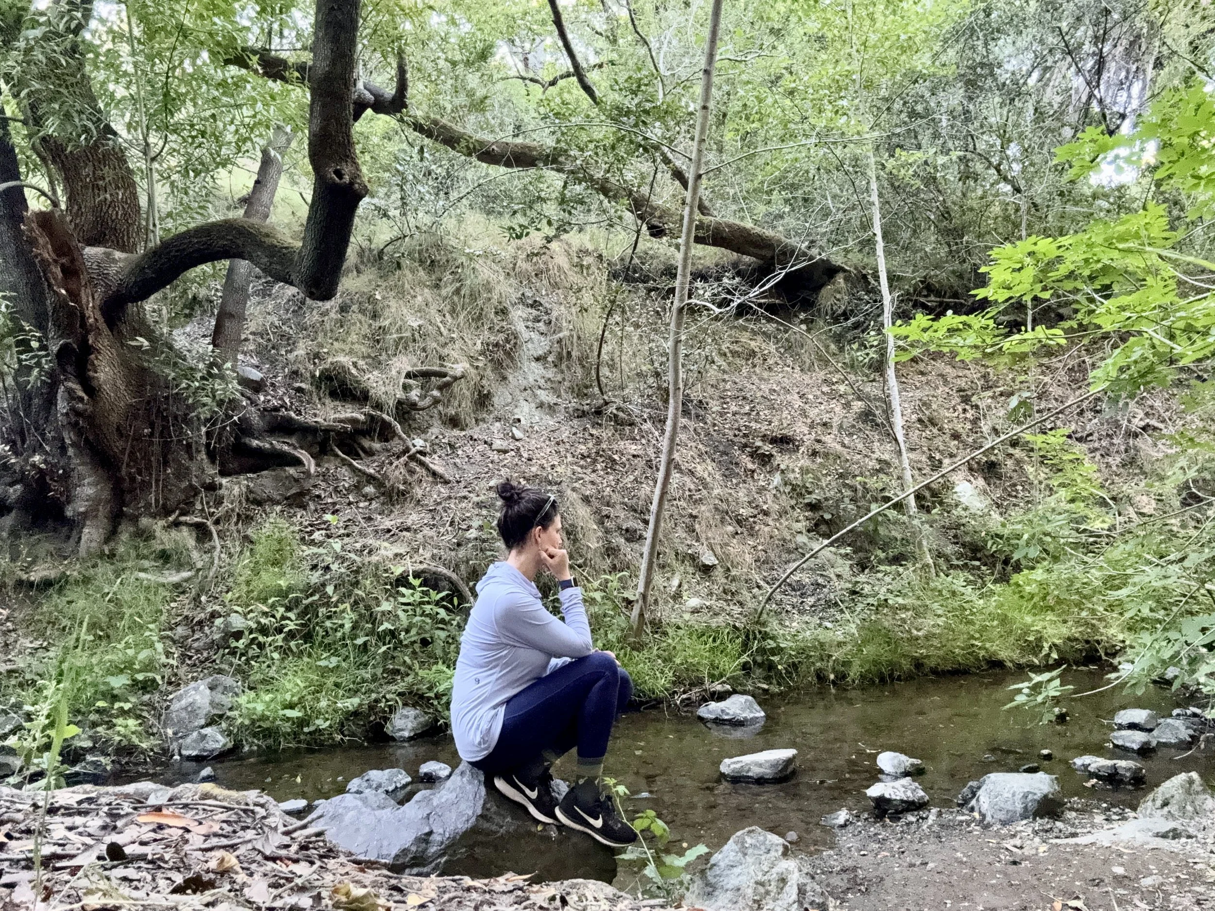Forest Bathing - A Mid-Week Reset