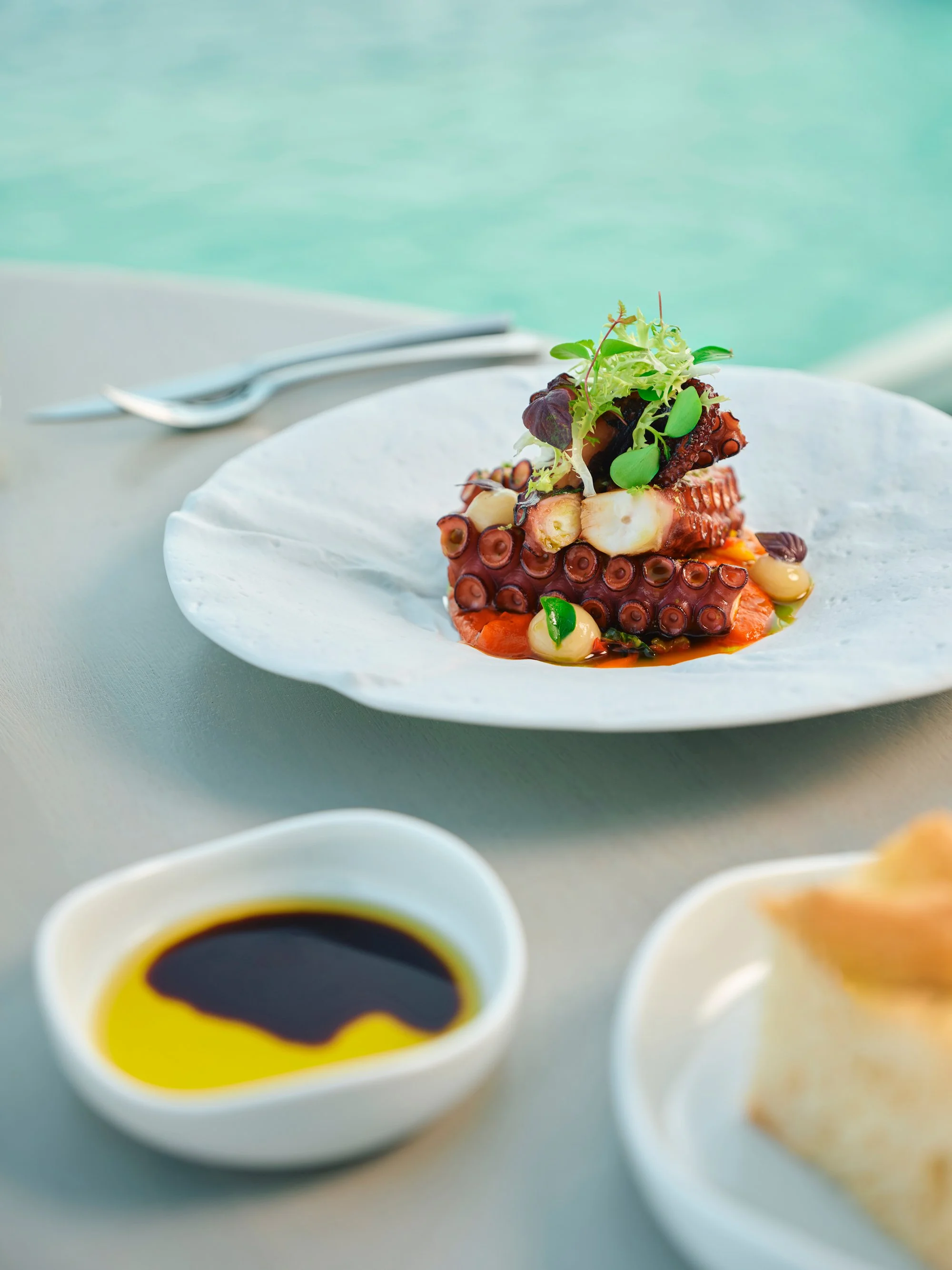 Shebara_AriaMare_Restaurant_MainDish_03_PolpoePeperoni.jpg