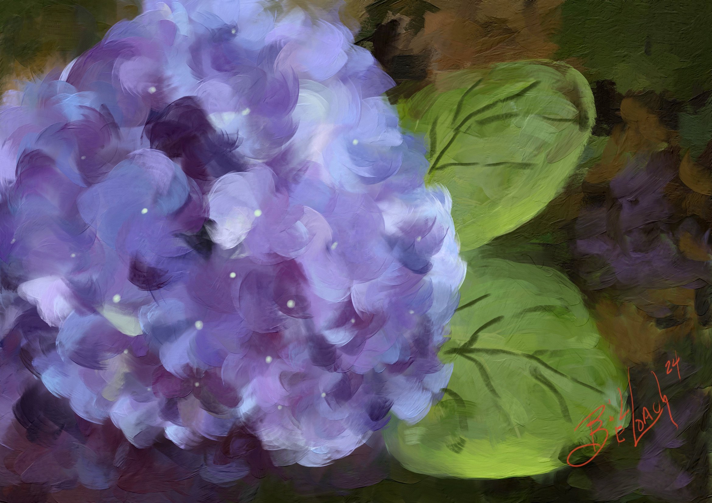 Hydrangea.jpg