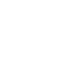 Ally