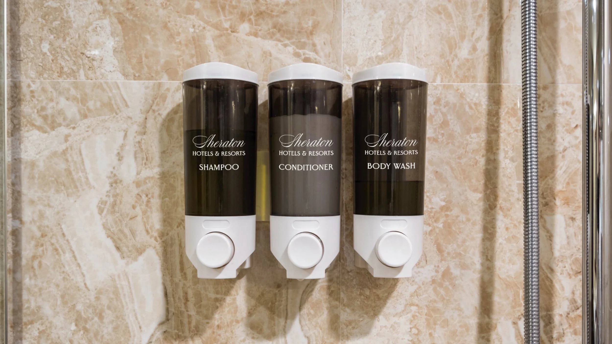 Untitled_Artwork 13.jpeg