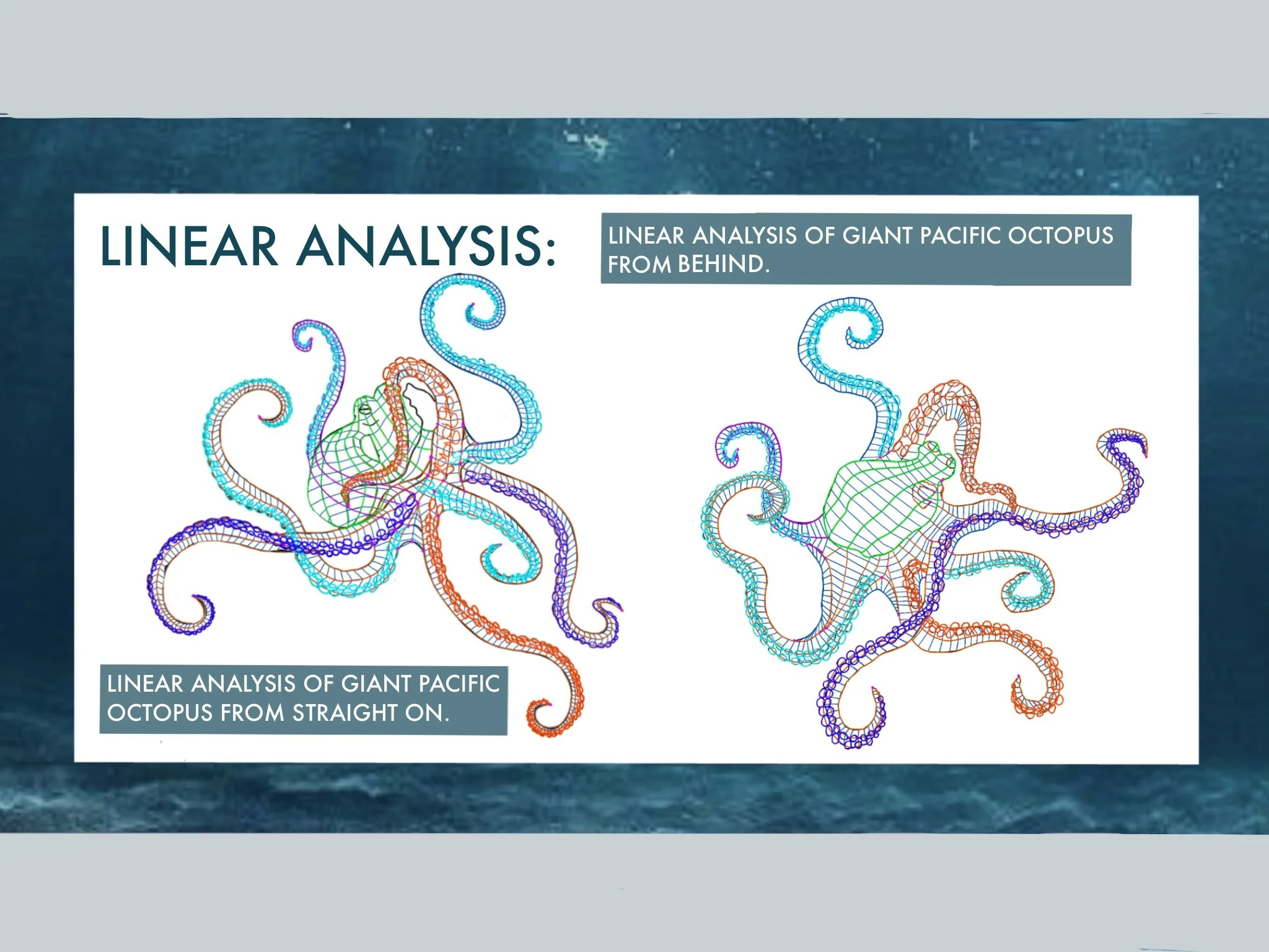The Greater Cleveland Aquarium Installation Proposal