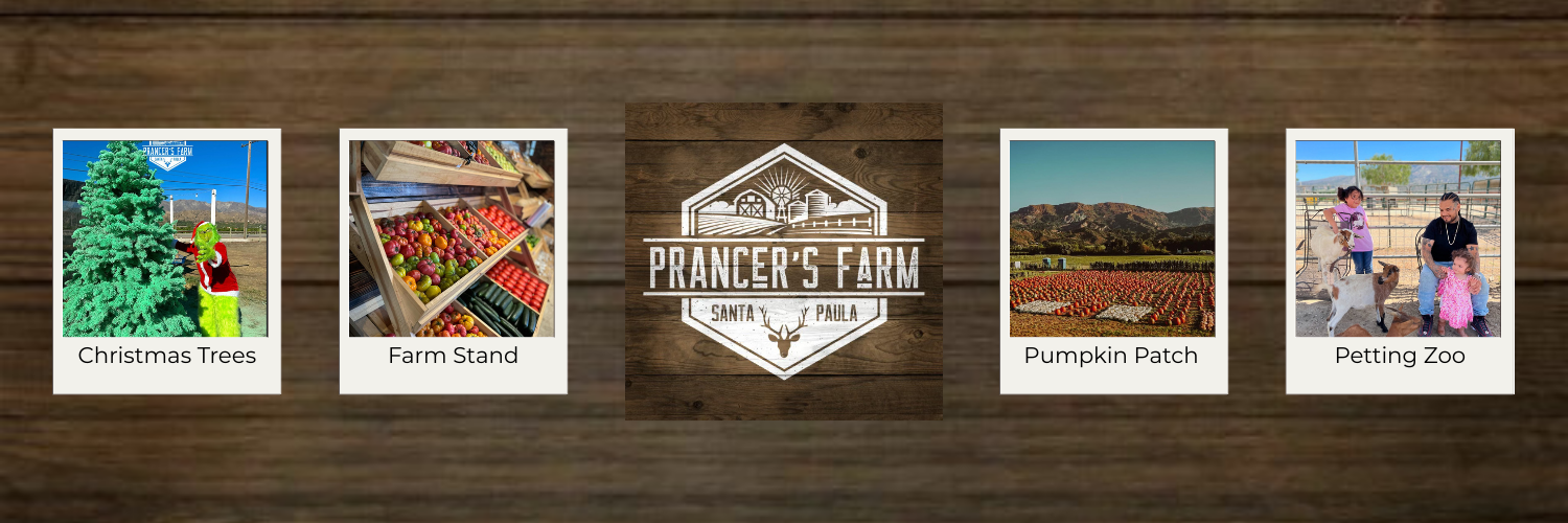 Polaroid photos of Christmas trees, farm stand with apples, pumpkin patch, and petting zoo, with a farm-themed sign in the center reading "Prancer's Farm Santa Paula" on a wooden background.